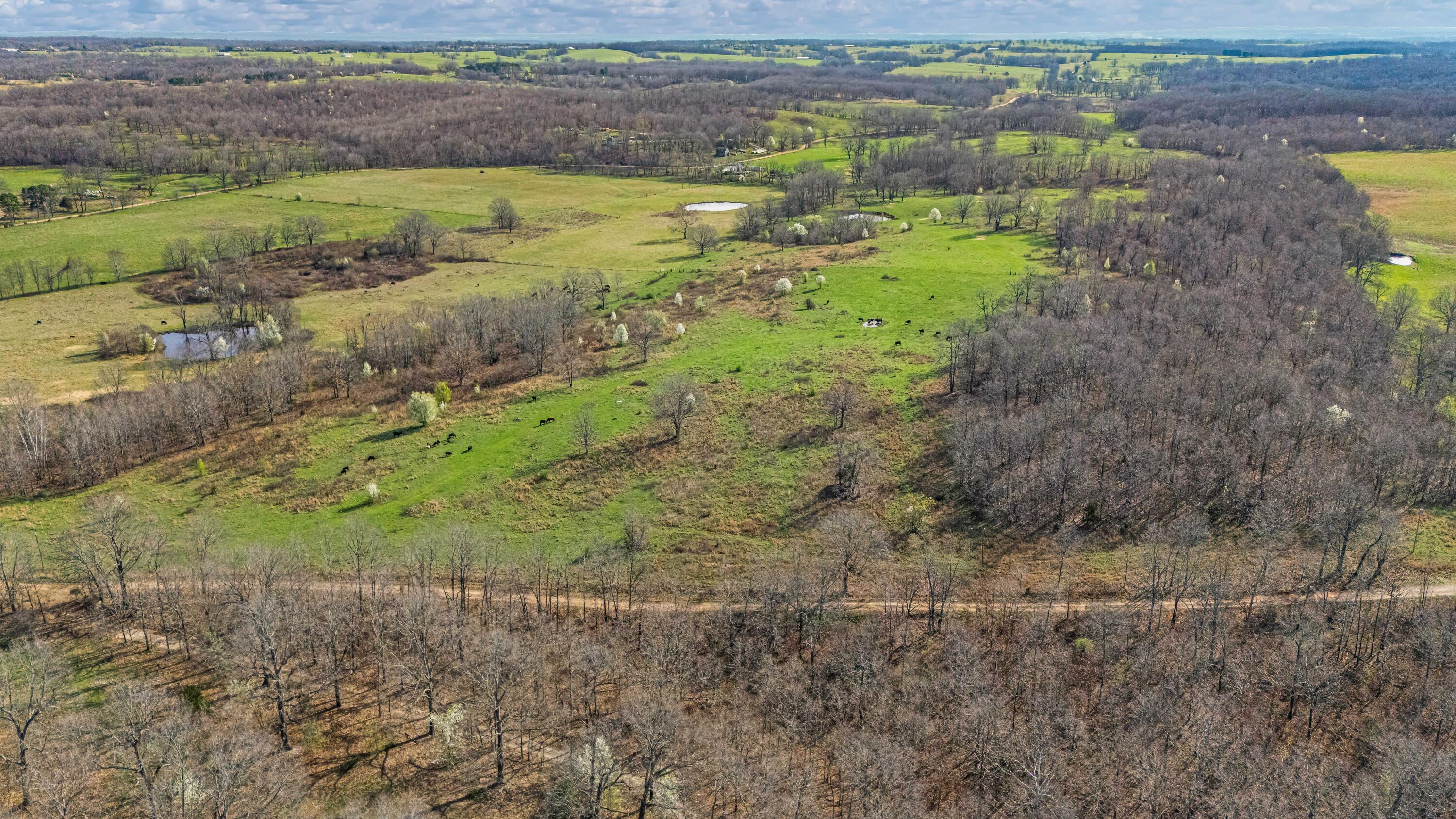 Photo 101 - Farm for sale – 1499  County Road 380   Koshkonong, MO