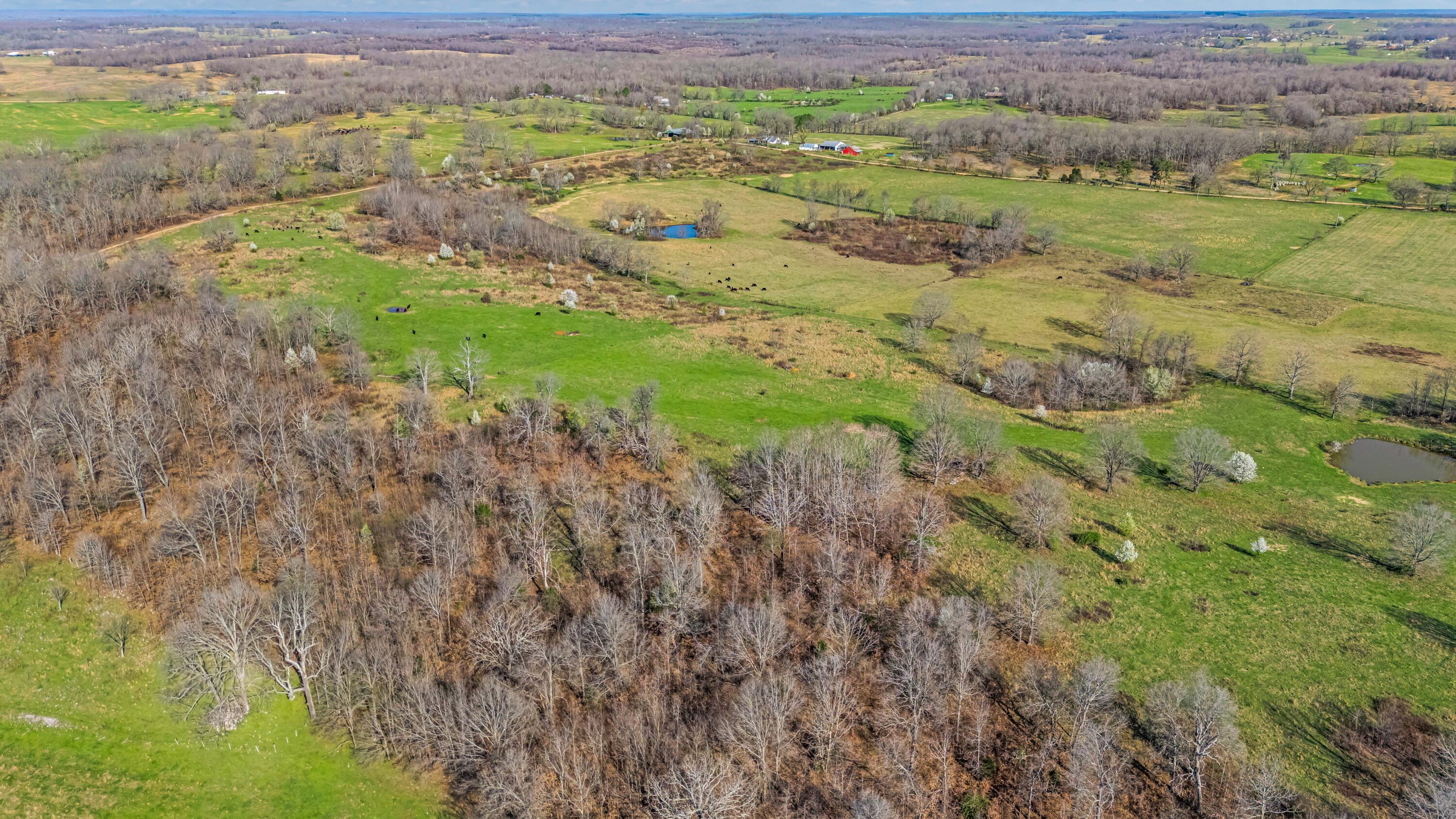 Photo 107 - Farm for sale – 1499  County Road 380   Koshkonong, MO