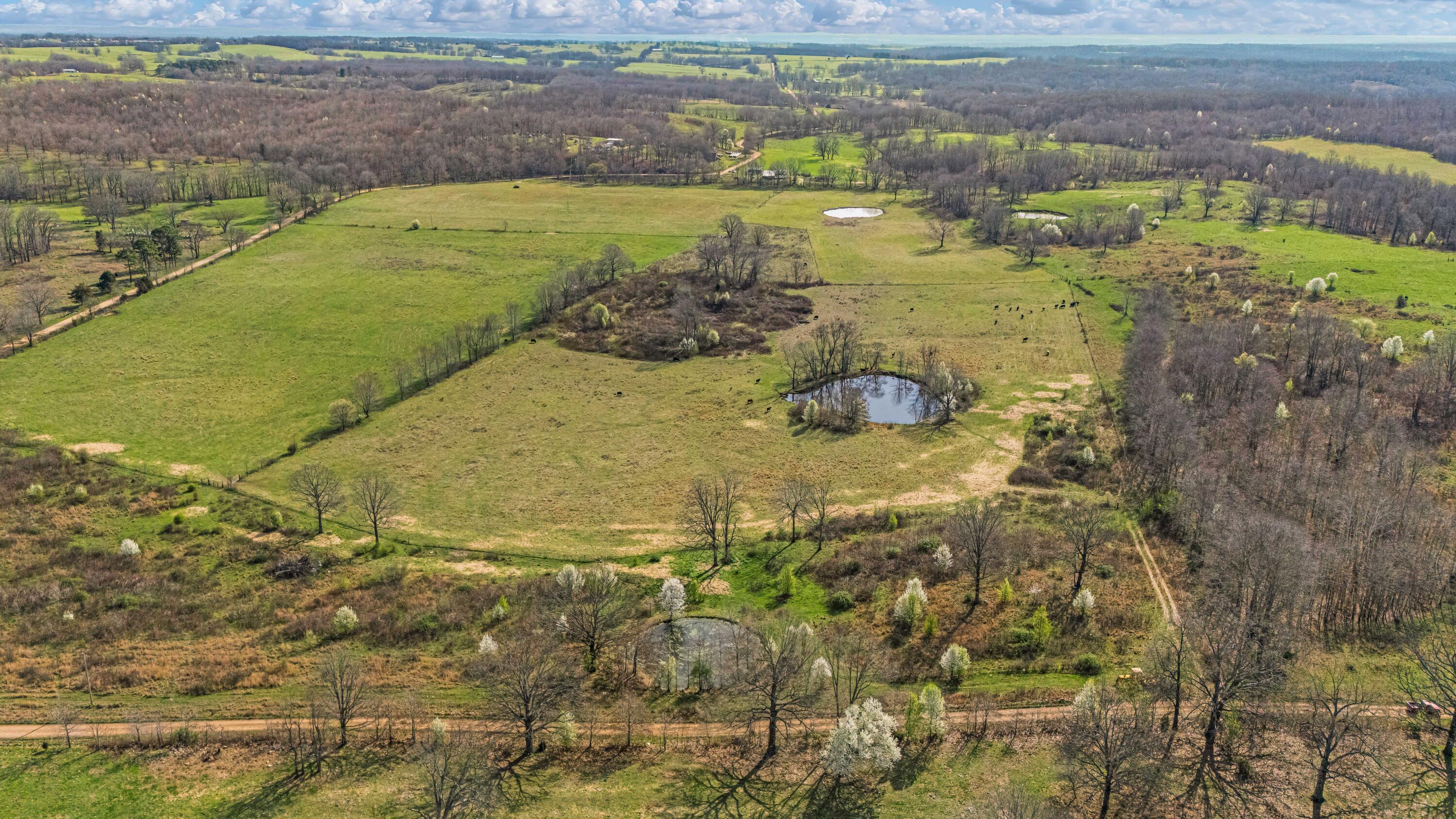 Photo 86 - Farm for sale – 1499  County Road 380   Koshkonong, MO
