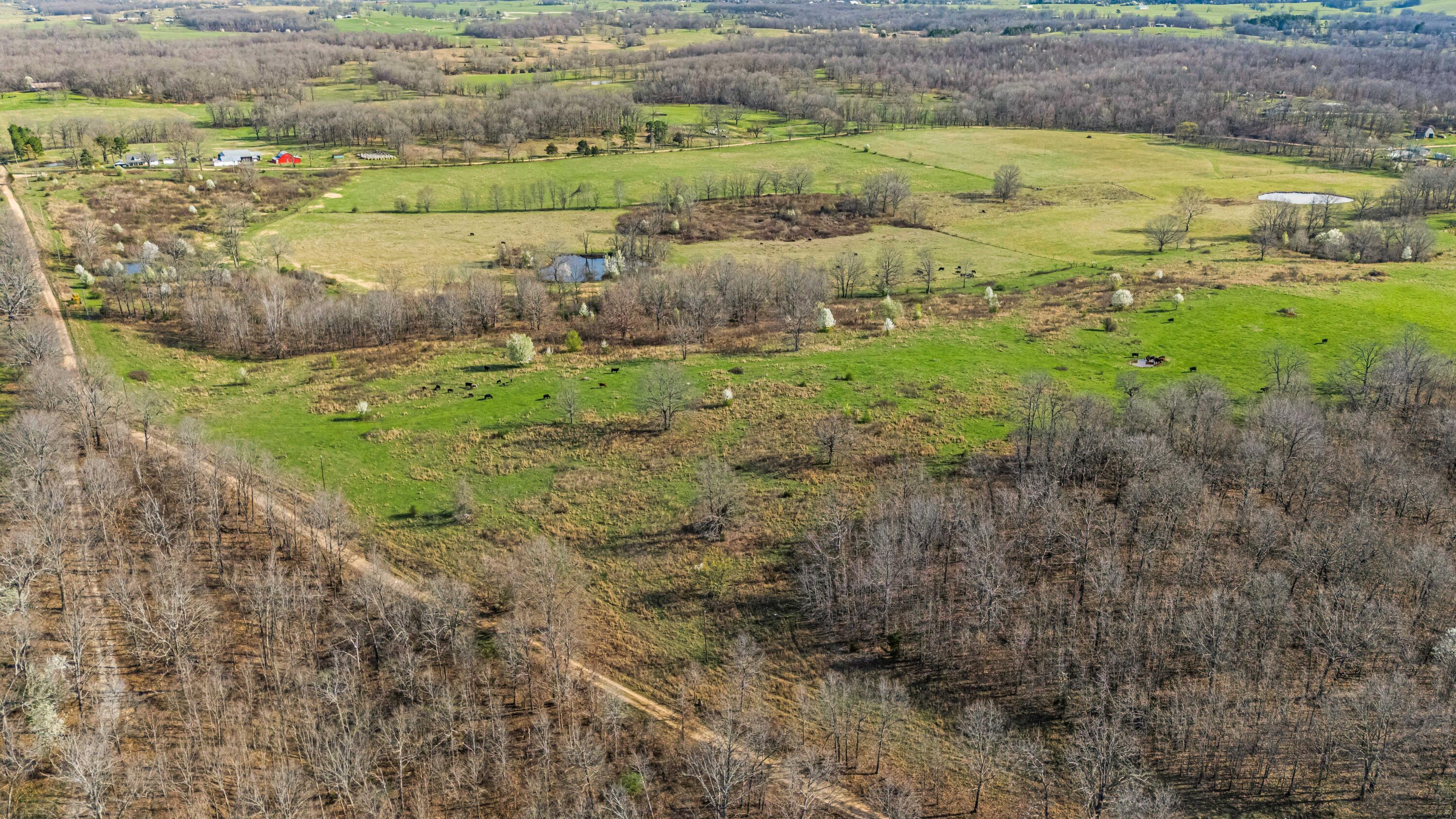 Photo 103 - Farm for sale – 1499  County Road 380   Koshkonong, MO