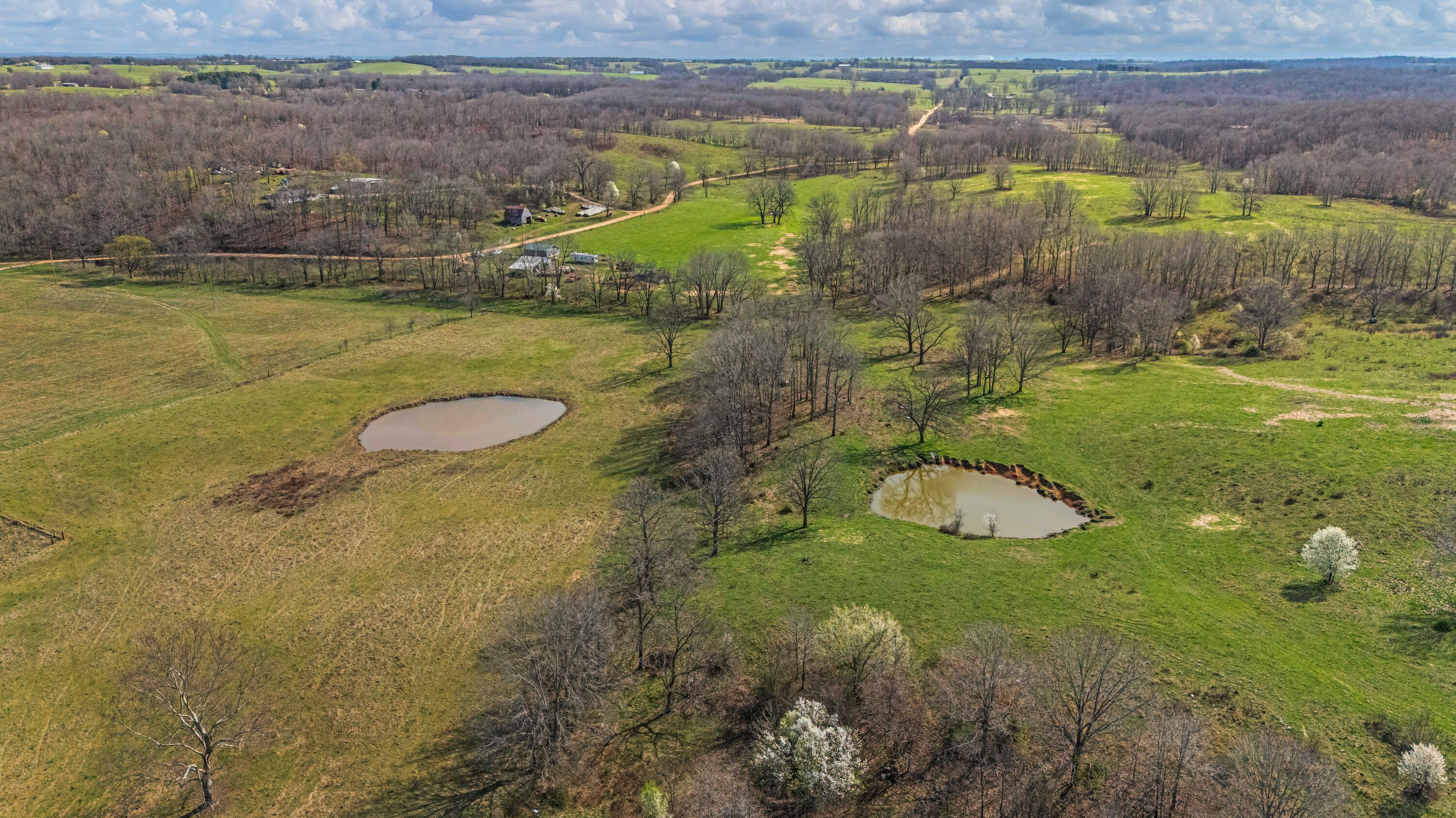 Photo 88 - Farm for sale – 1499  County Road 380   Koshkonong, MO