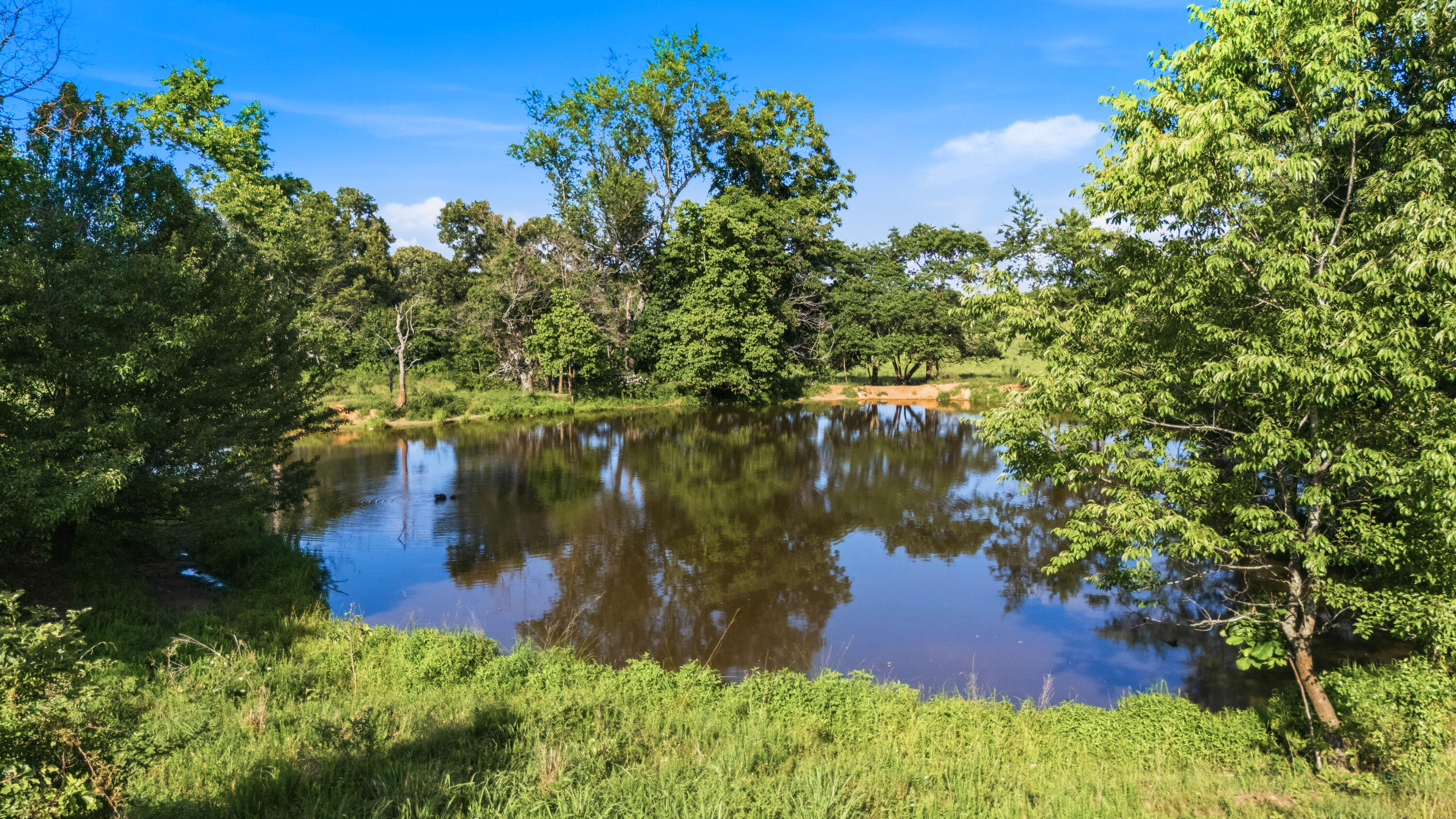 Photo 73 - Farm for sale – 1499  County Road 380   Koshkonong, MO