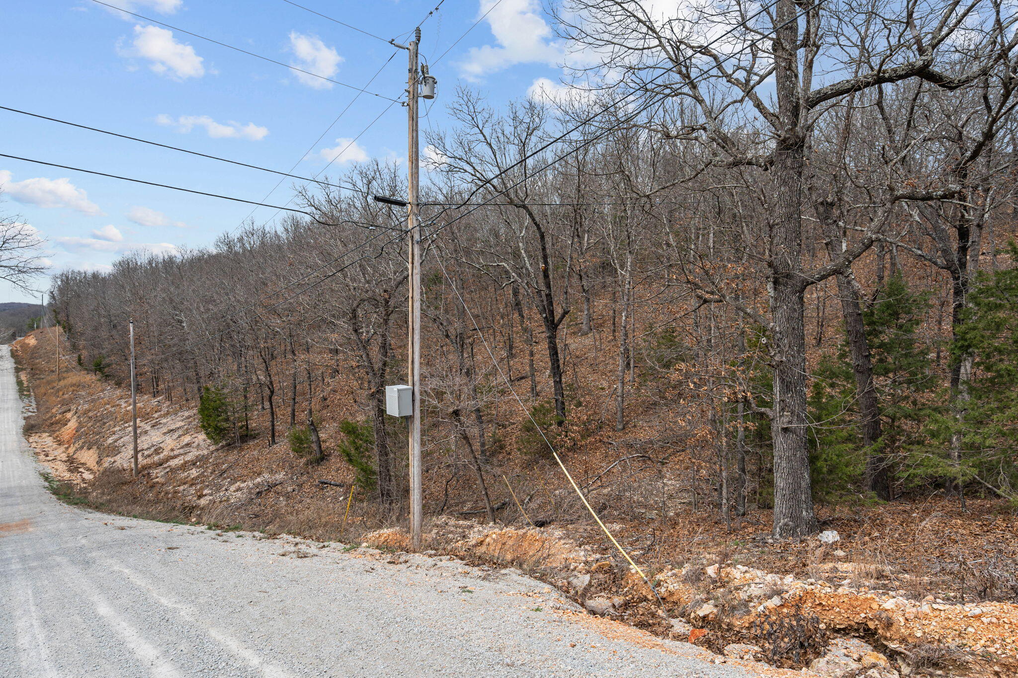 Photo 18 - Land for sale – 000  State Highway 86   Ridgedale, MO