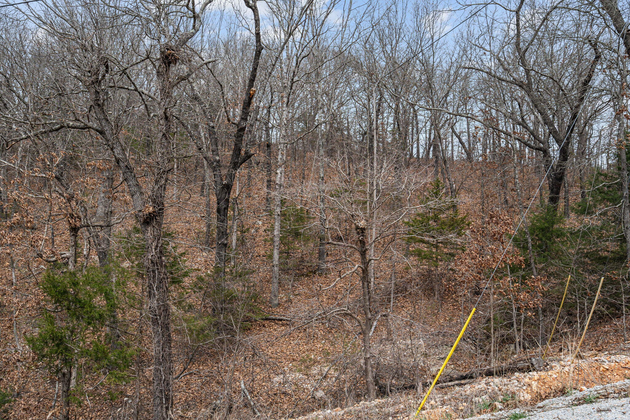 Photo 17 - Land for sale – 000  State Highway 86   Ridgedale, MO