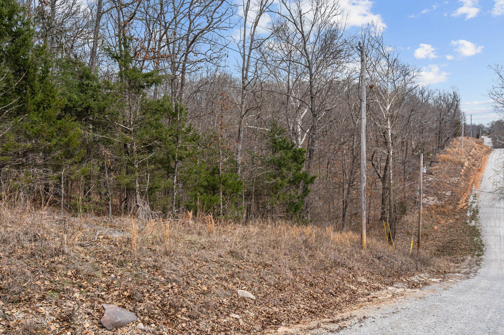 Photo 15 - Land for sale – 000  State Highway 86   Ridgedale, MO