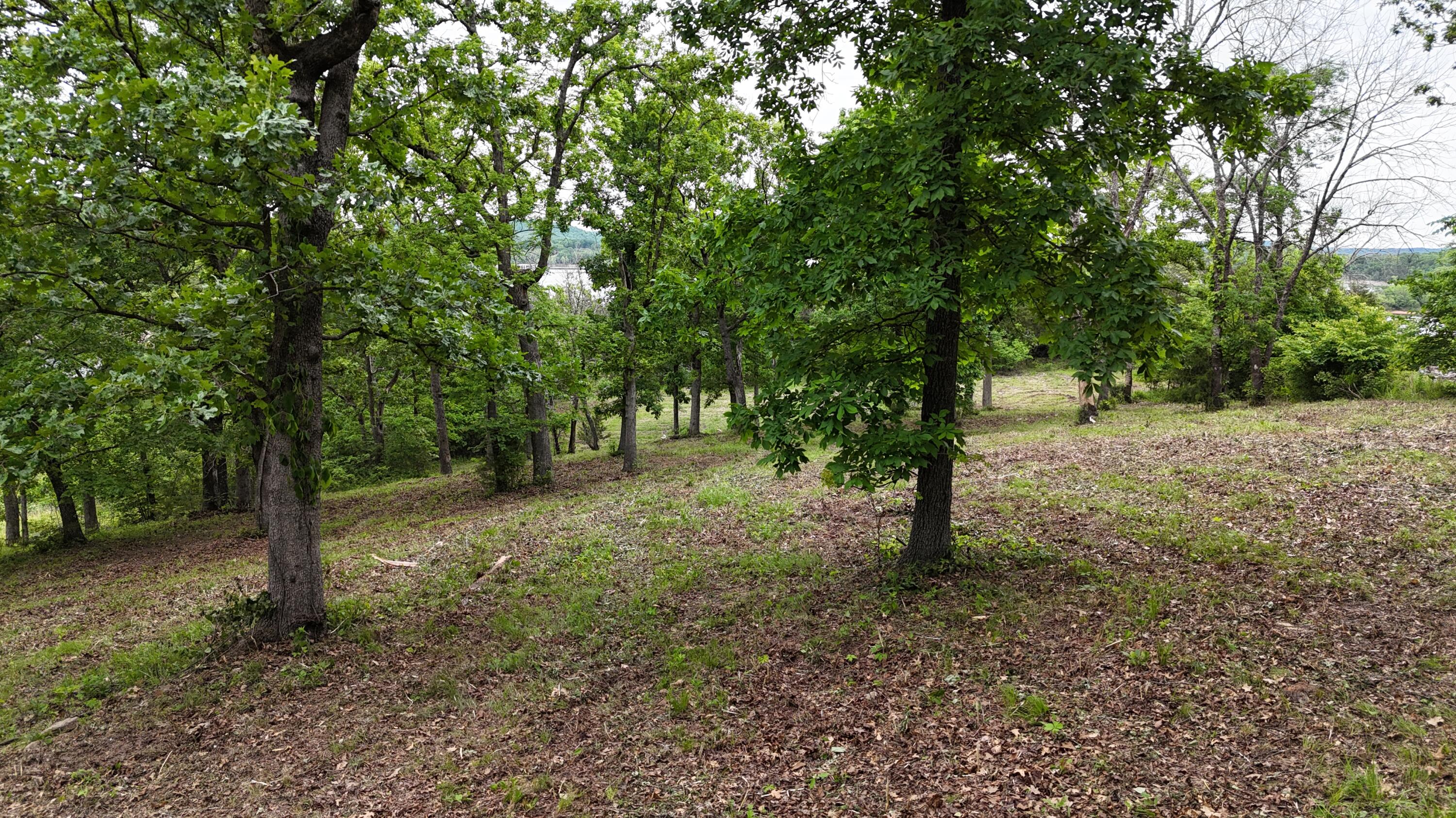 Photo 18 - Land for sale – 000  Eagles Point Lane  Shell Knob, MO