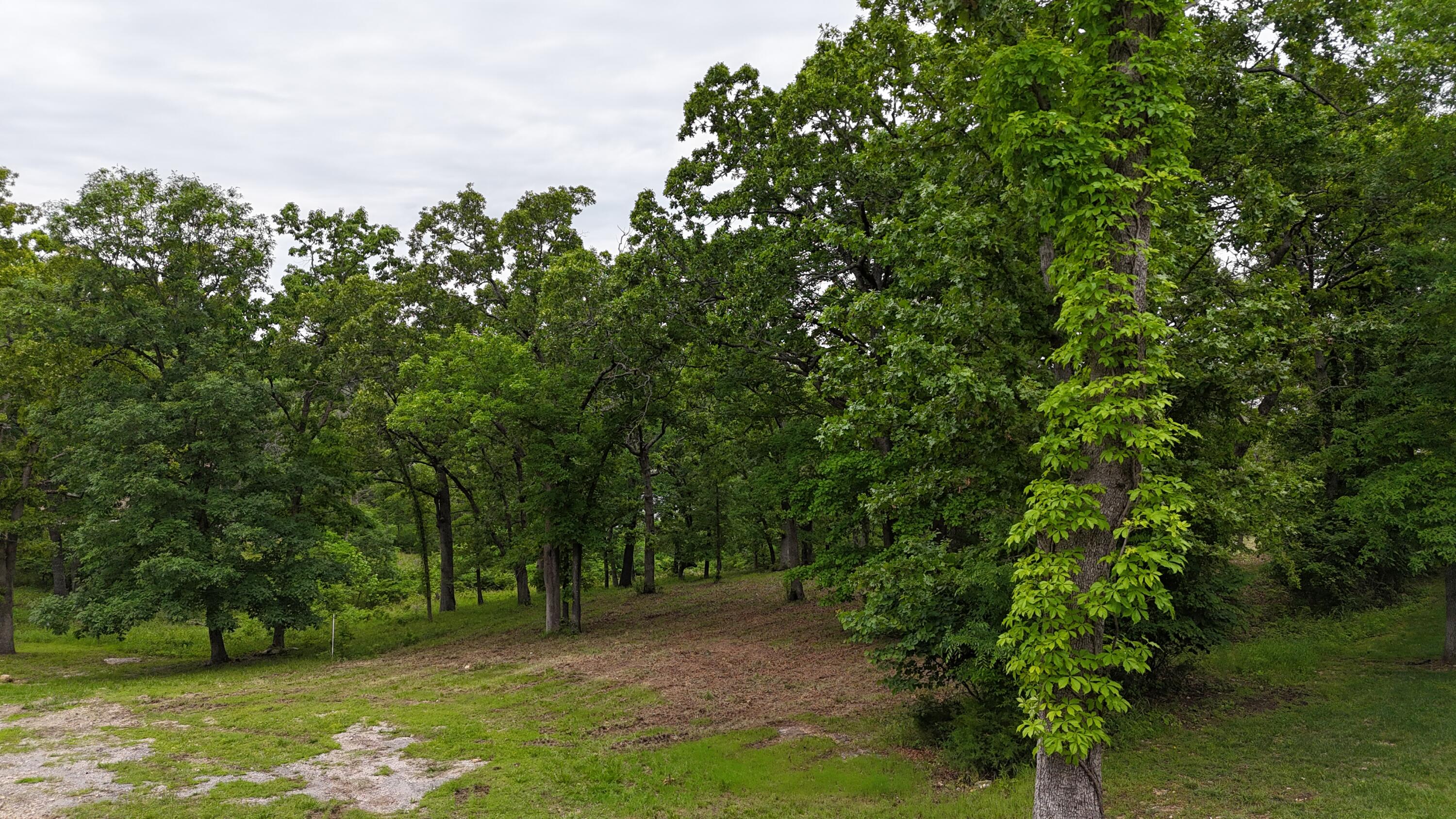 Photo 19 - Land for sale – 000  Eagles Point Lane  Shell Knob, MO