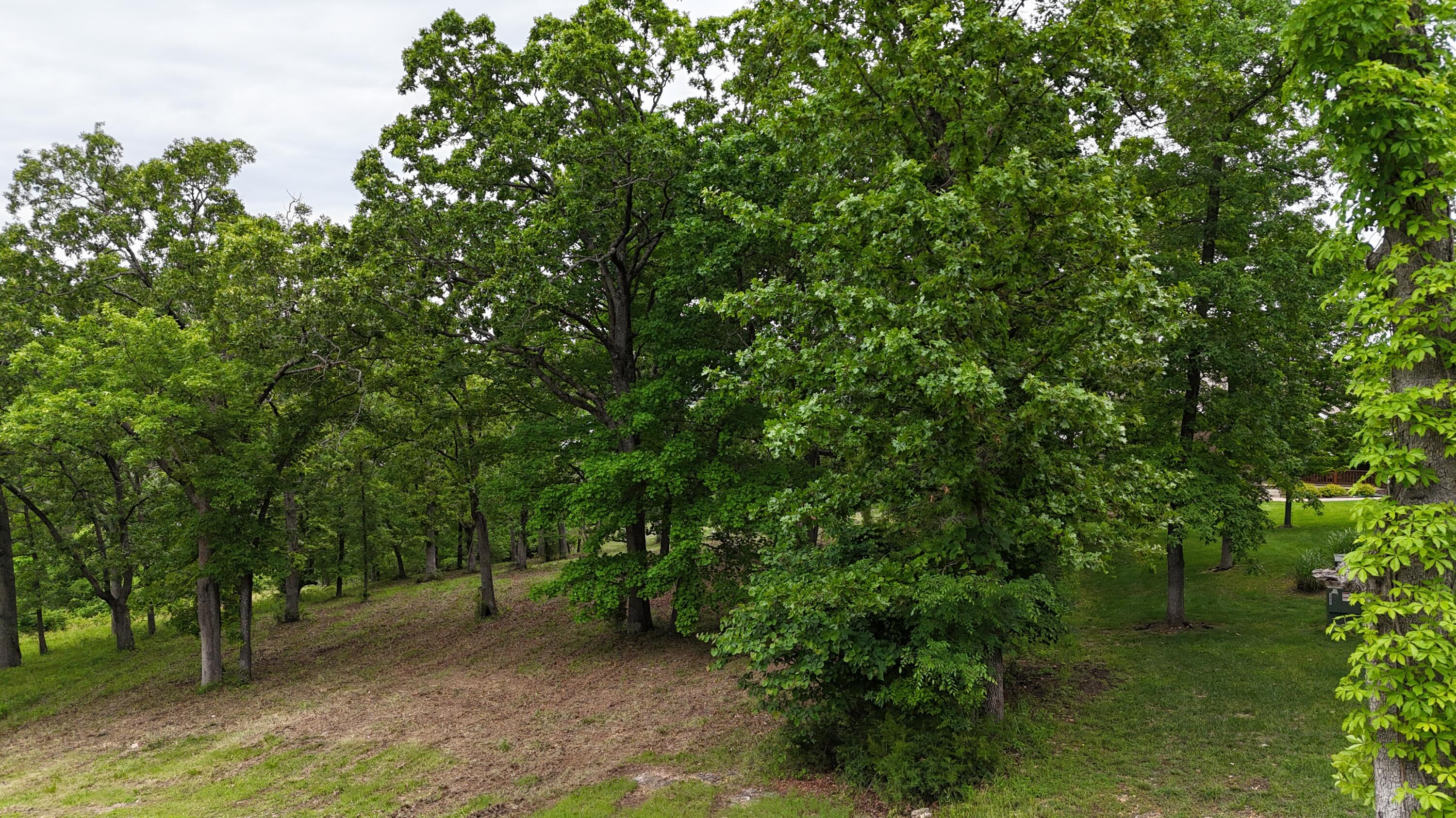 Photo 15 - Land for sale – 000  Eagles Point Lane  Shell Knob, MO