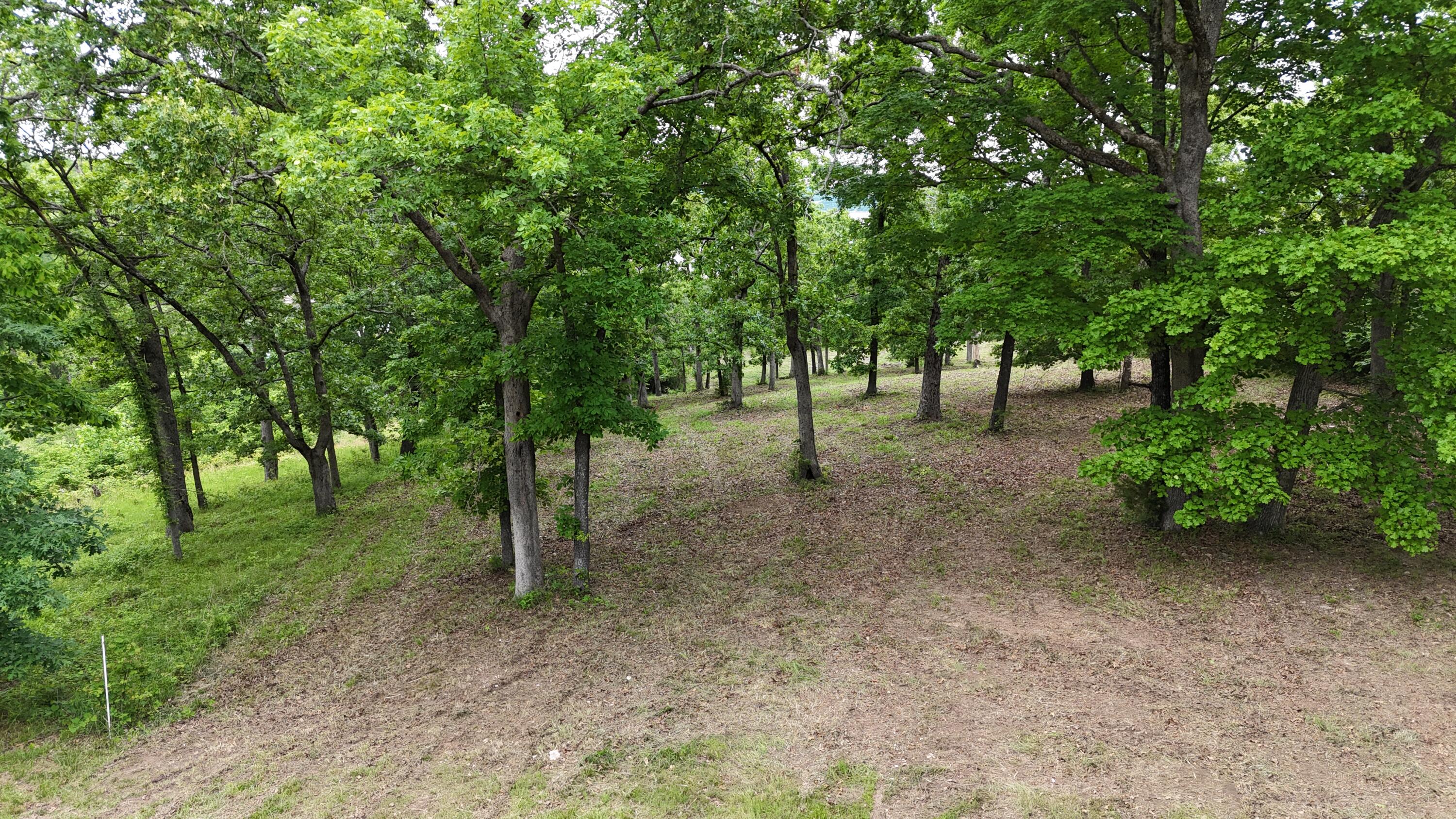 Photo 20 - Land for sale – 000  Eagles Point Lane  Shell Knob, MO