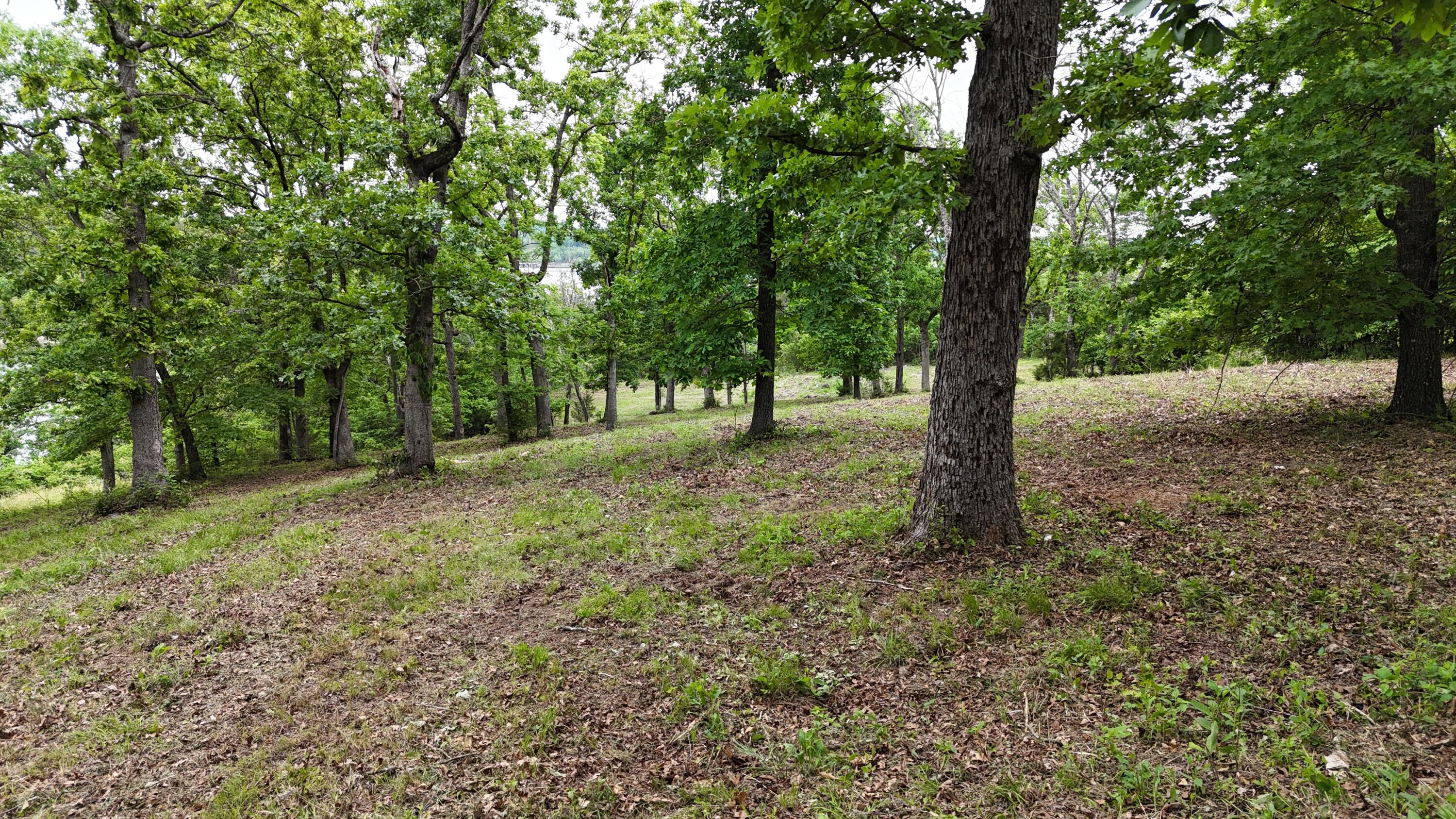 Photo 16 - Land for sale – 000  Eagles Point Lane  Shell Knob, MO