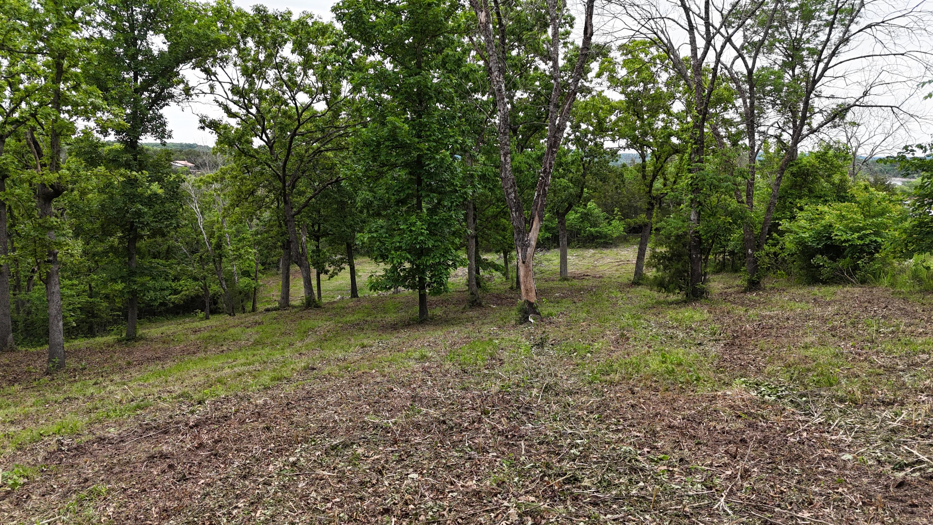 Photo 14 - Land for sale – 000  Eagles Point Lane  Shell Knob, MO
