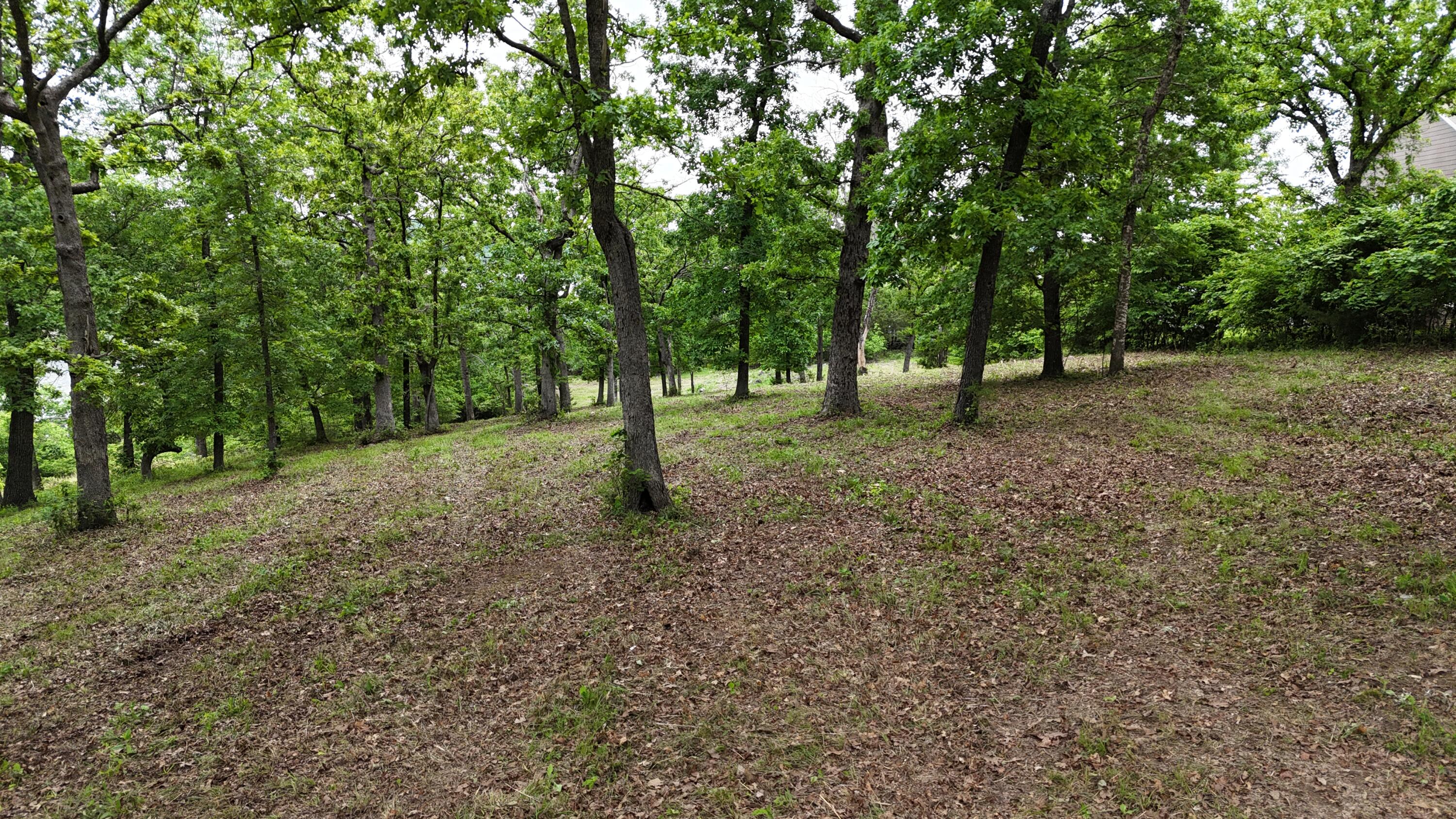 Photo 17 - Land for sale – 000  Eagles Point Lane  Shell Knob, MO