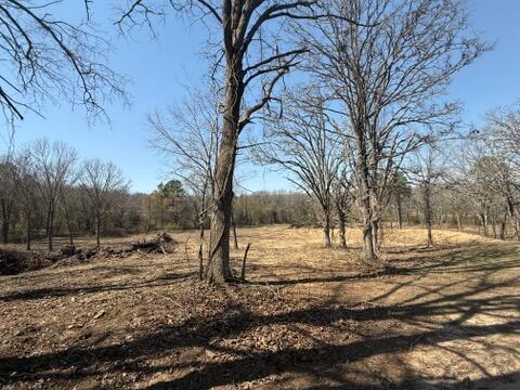 Photo 5 - Land for sale – 000  U.S. 160   West Plains, MO