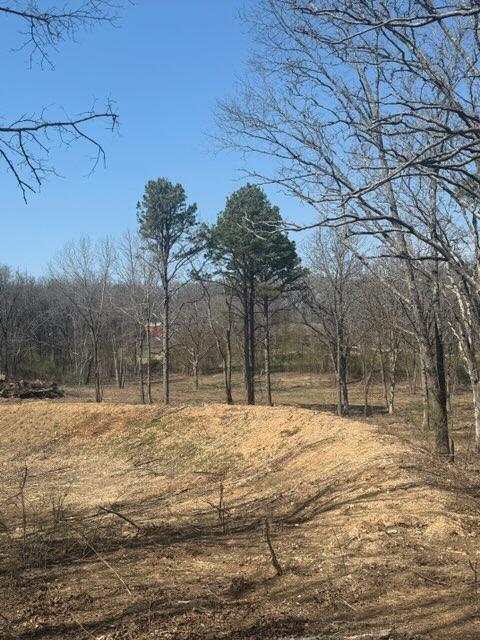Photo 2 - Land for sale – 000  U.S. 160   West Plains, MO