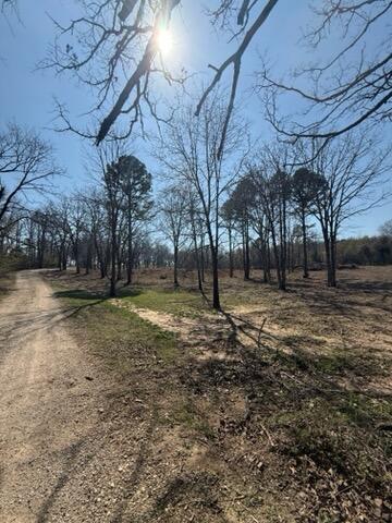 Photo 6 - Land for sale – 000  U.S. 160   West Plains, MO
