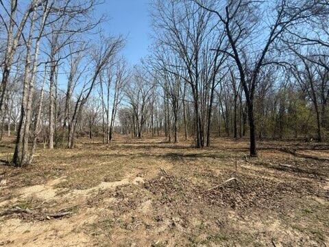 Land for sale – 000  East U.S. 160   West Plains, MO
