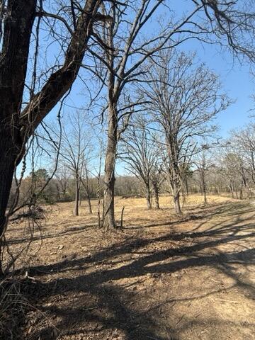Photo 3 - Land for sale – 000  East U.S. 160   West Plains, MO