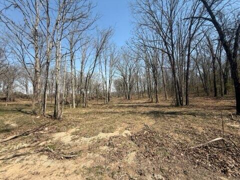 Photo 5 - Land for sale – 000  U.S. 160   West Plains, MO