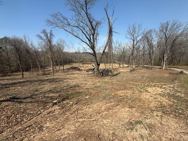 Photo 2 - Land for sale – 000  U.S. 160   West Plains, MO