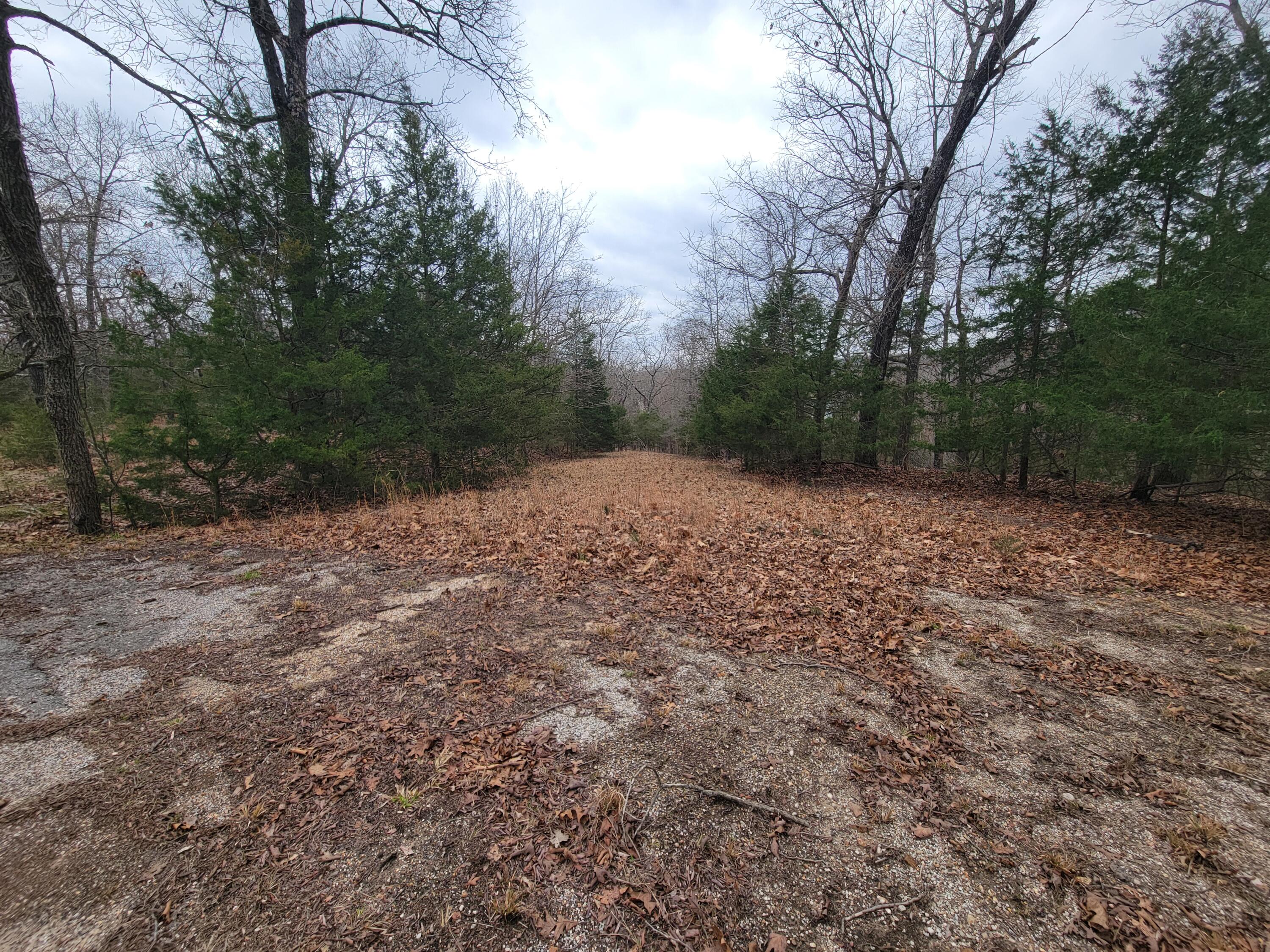 Photo 2 - Land for sale – 000  Lost Mine Road  Theodosia, MO