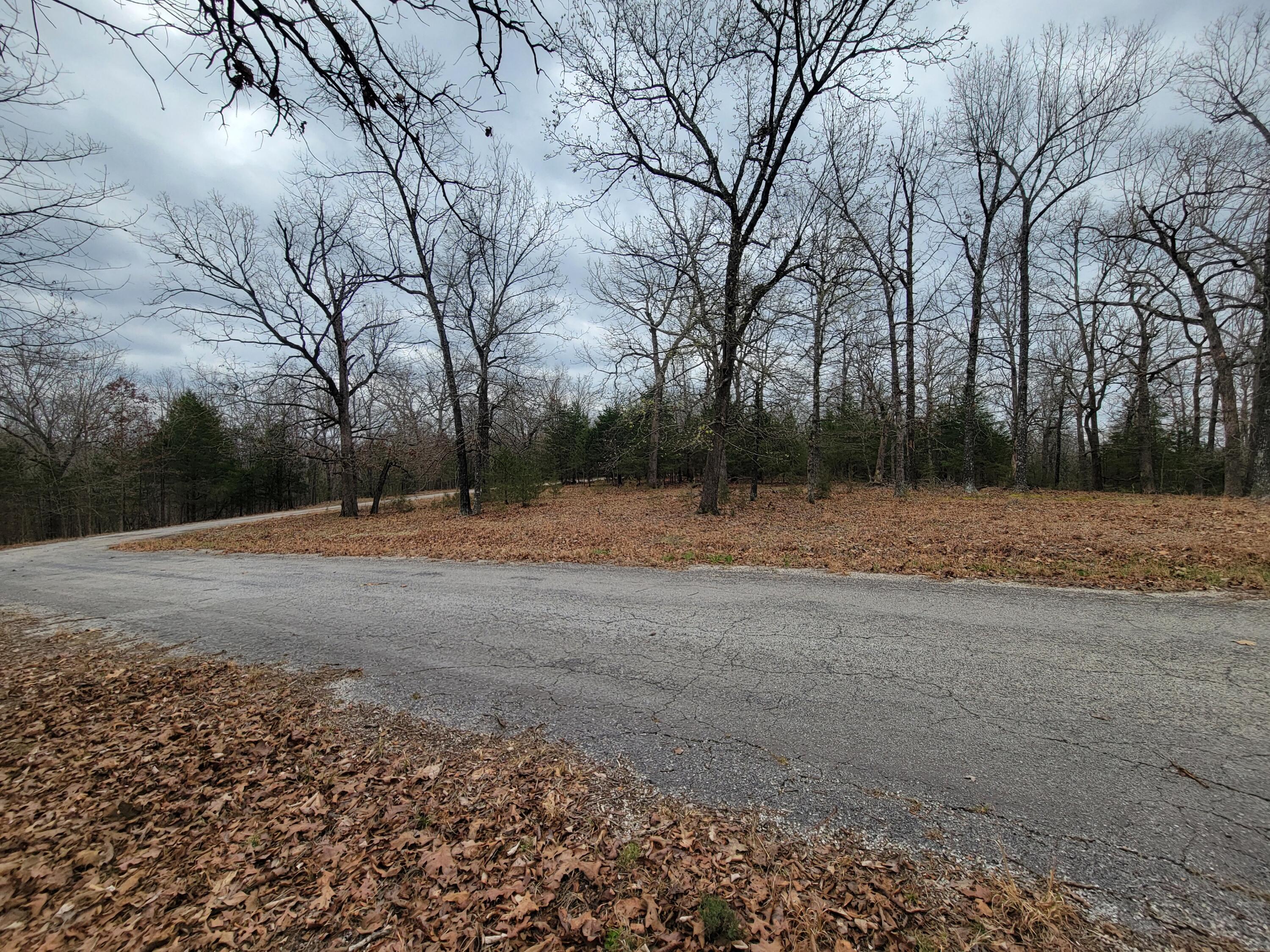 Photo 6 - Land for sale – 000  Lost Mine Road  Theodosia, MO