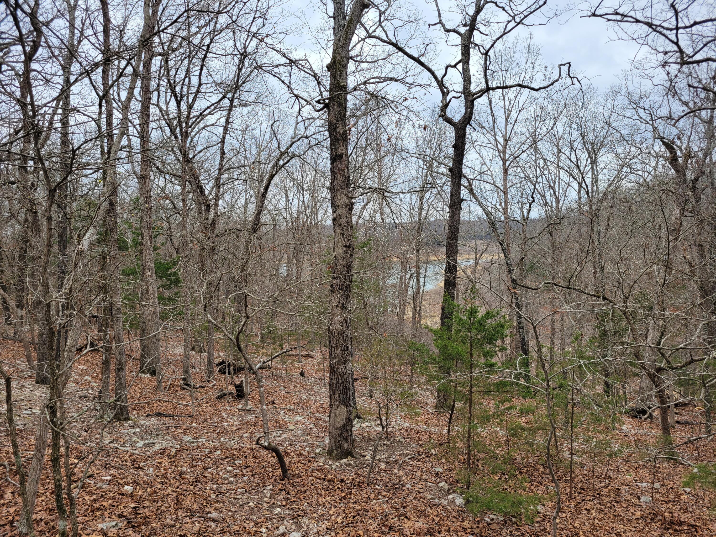 Land for sale – 000 Lost Mine Road Theodosia, MO