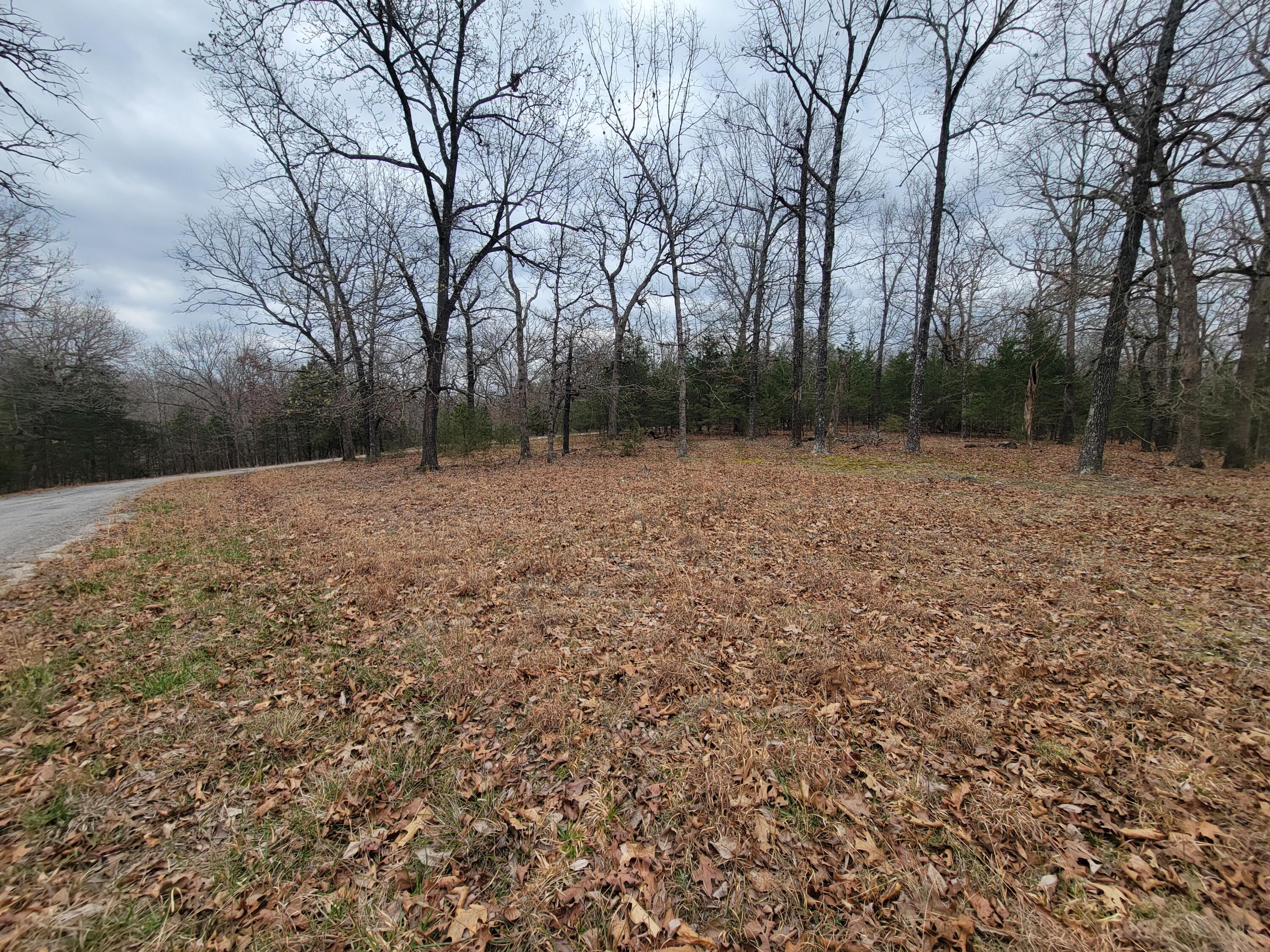 Photo 7 - Land for sale – 000  Lost Mine Road  Theodosia, MO