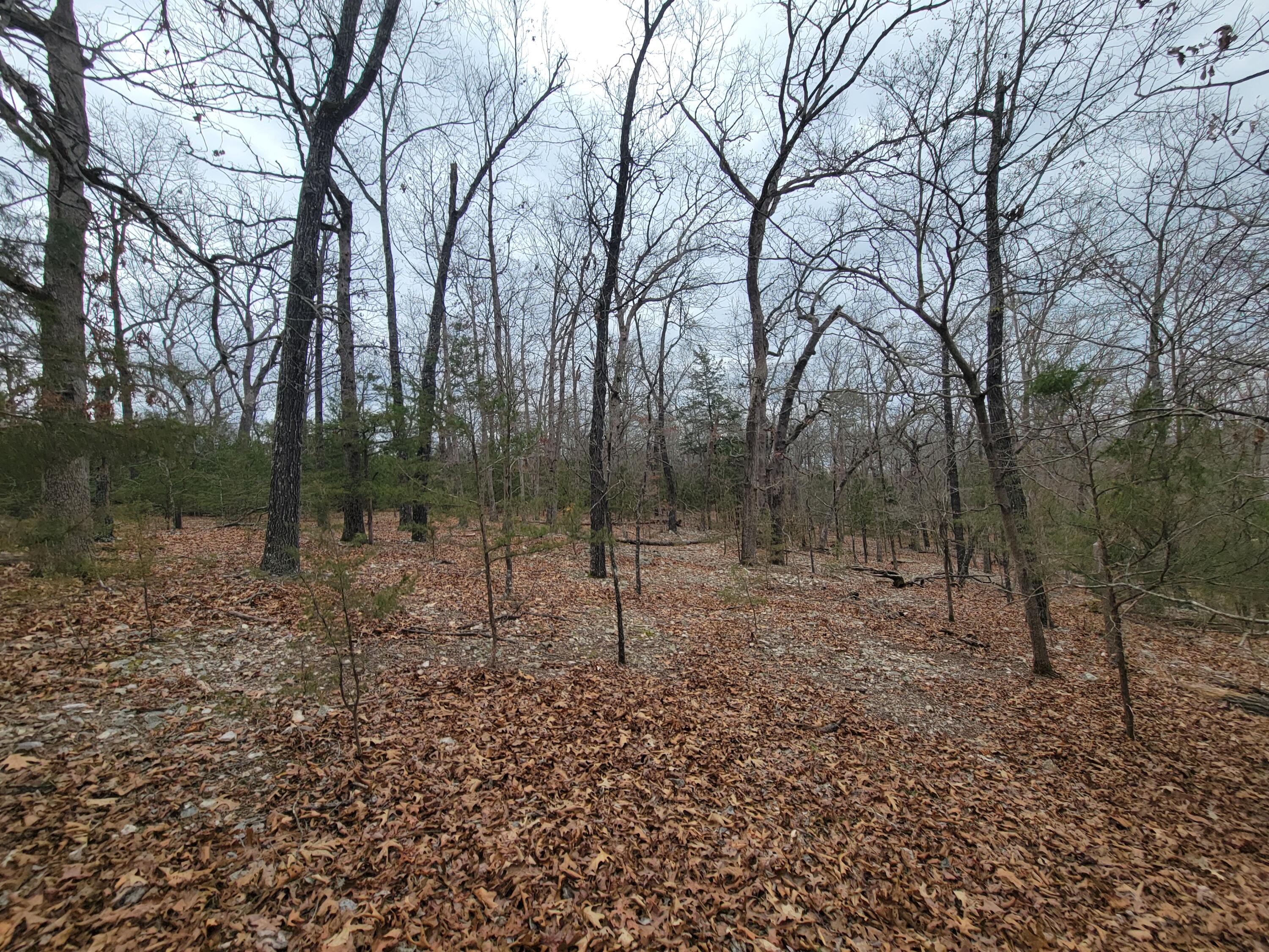 Photo 3 - Land for sale – 000  Lost Mine Road  Theodosia, MO