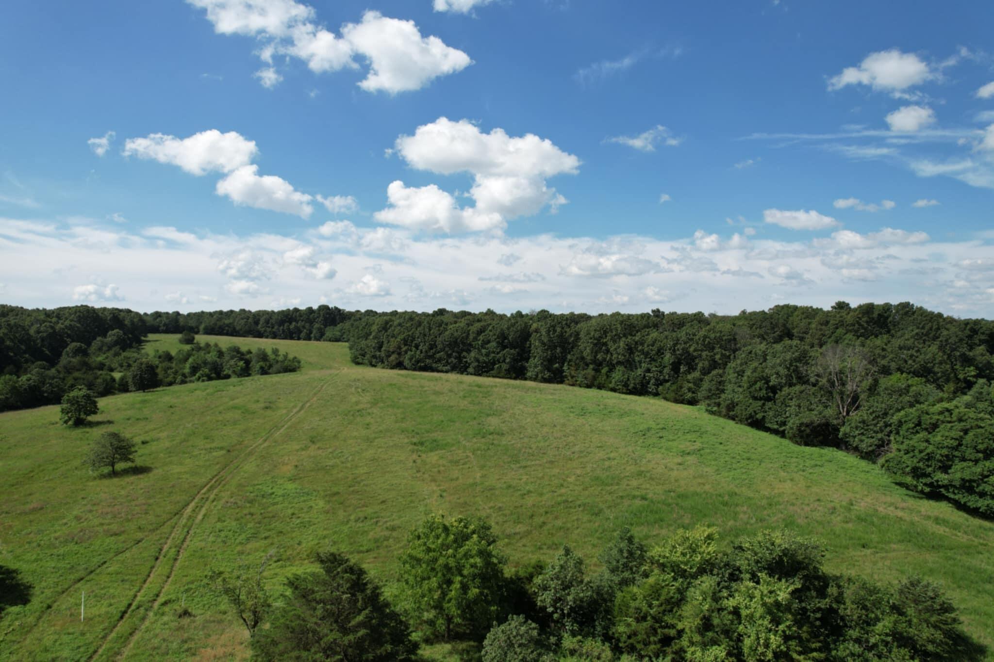 Photo 5 - Land for sale – 000  Lawrence 2130   Marionville, MO