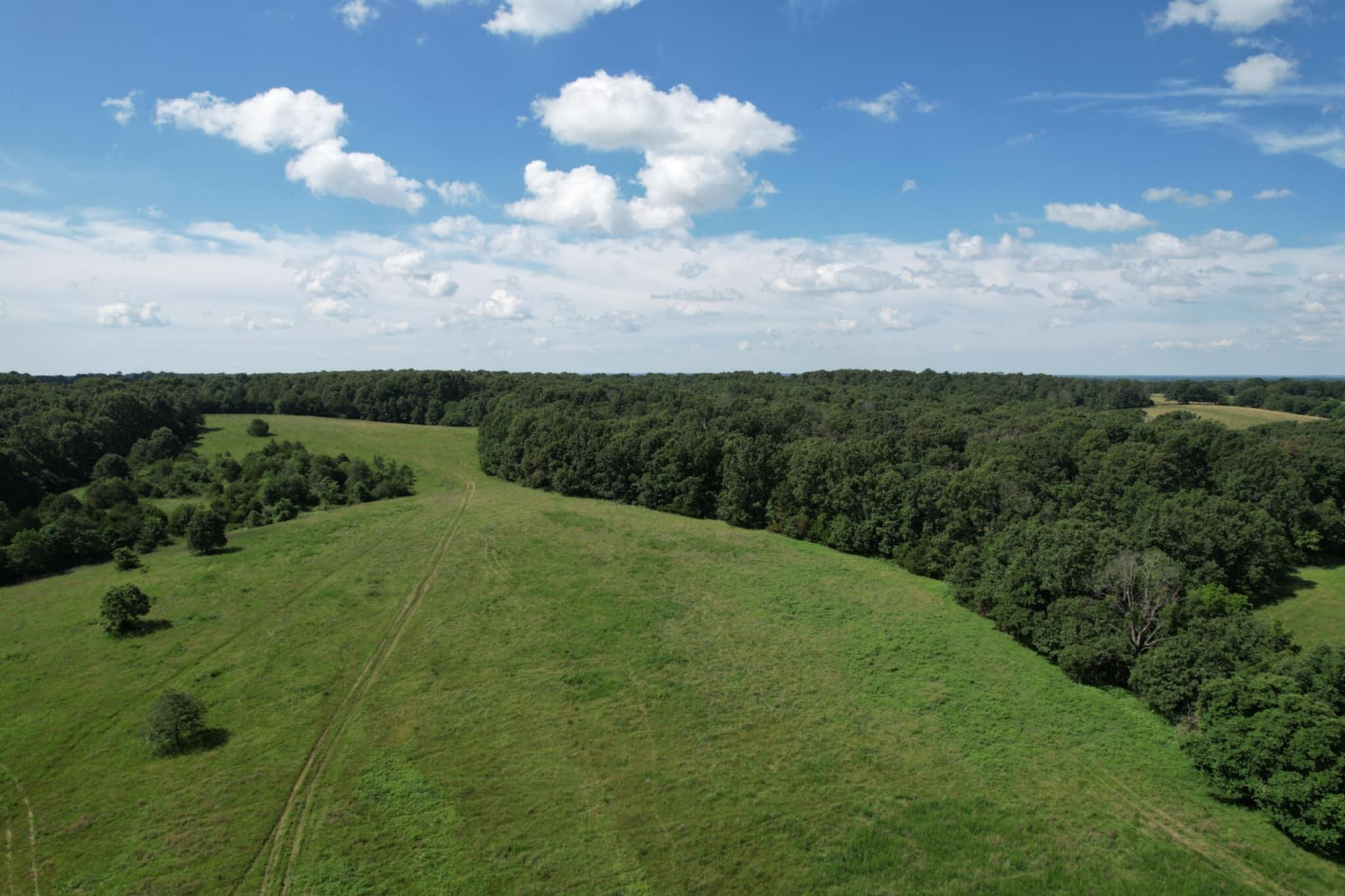 Photo 4 - Land for sale – 000  Lawrence 2130   Marionville, MO