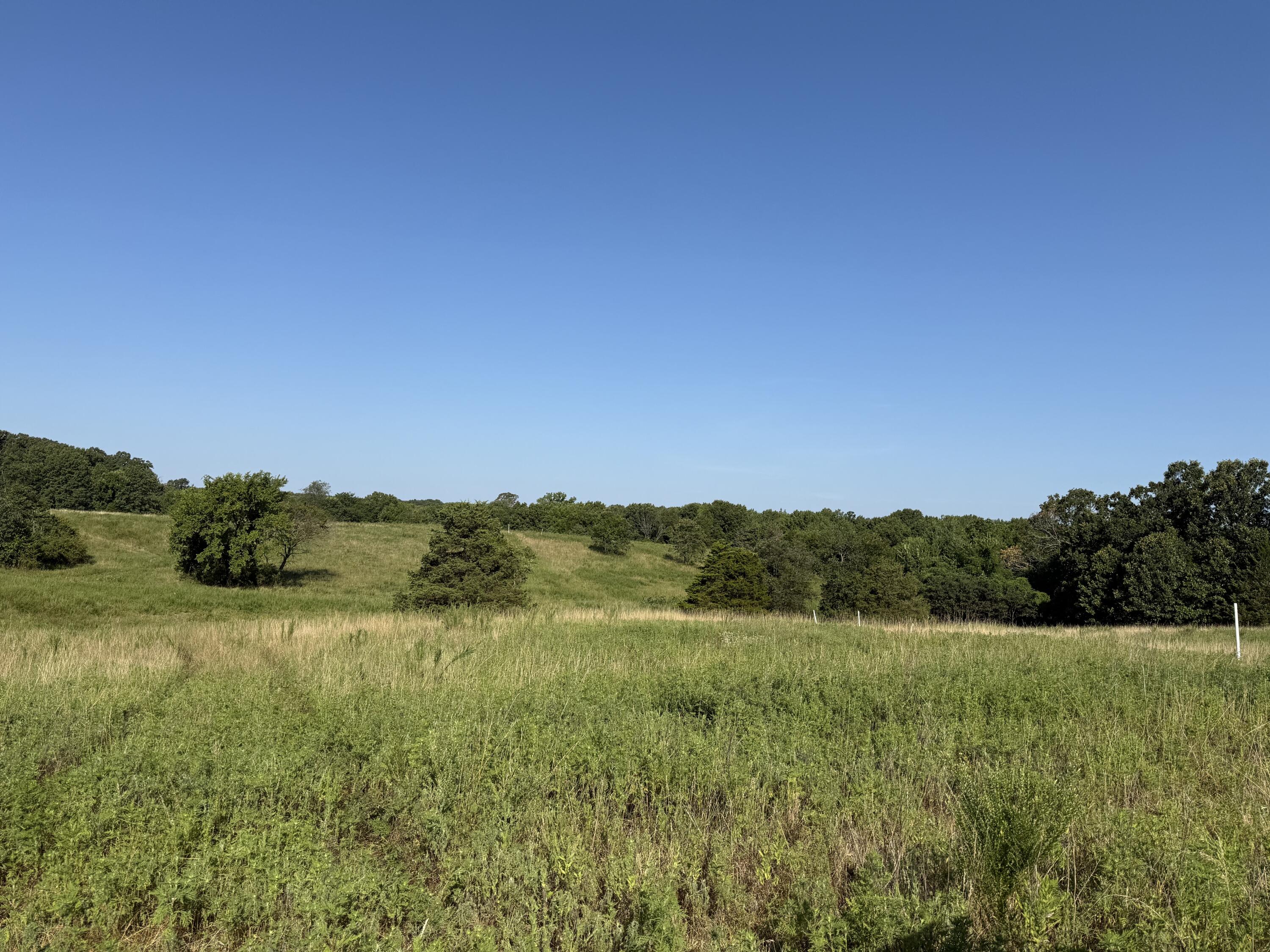 Photo 8 - Land for sale – 000  Lawrence 2130   Marionville, MO