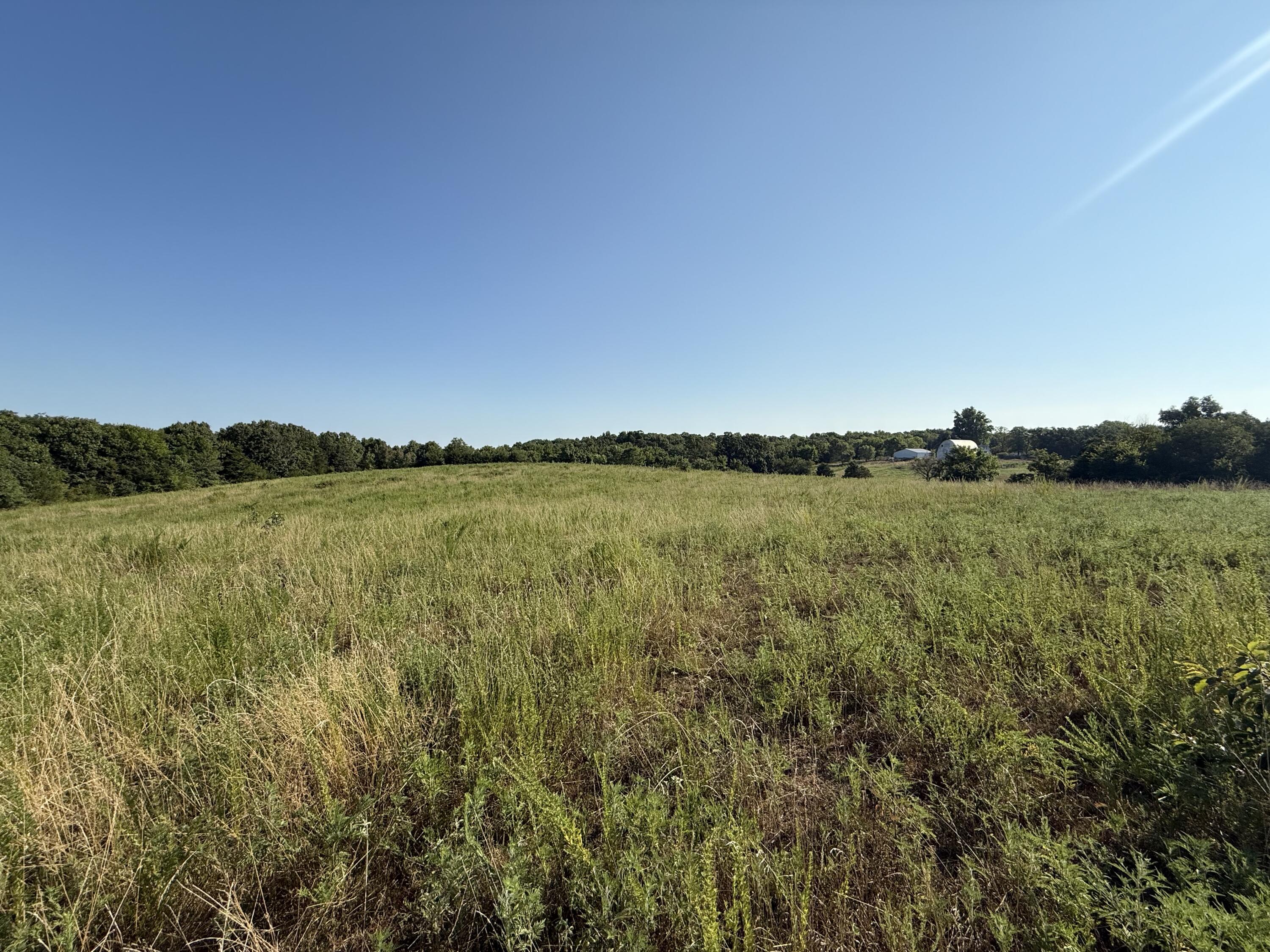 Photo 9 - Land for sale – 000  Lawrence 2130   Marionville, MO
