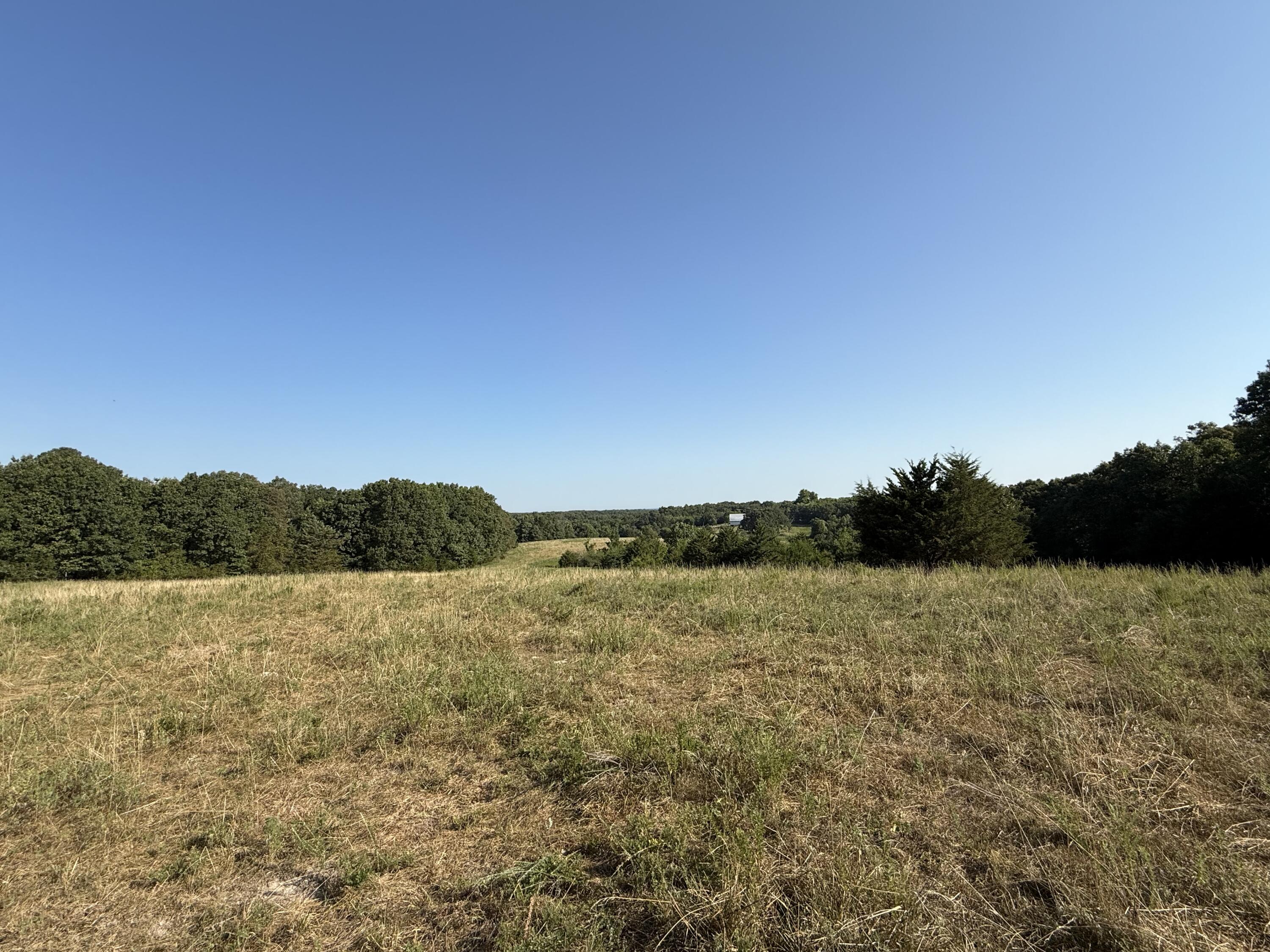 Photo 6 - Land for sale – 000  Lawrence 2130   Marionville, MO
