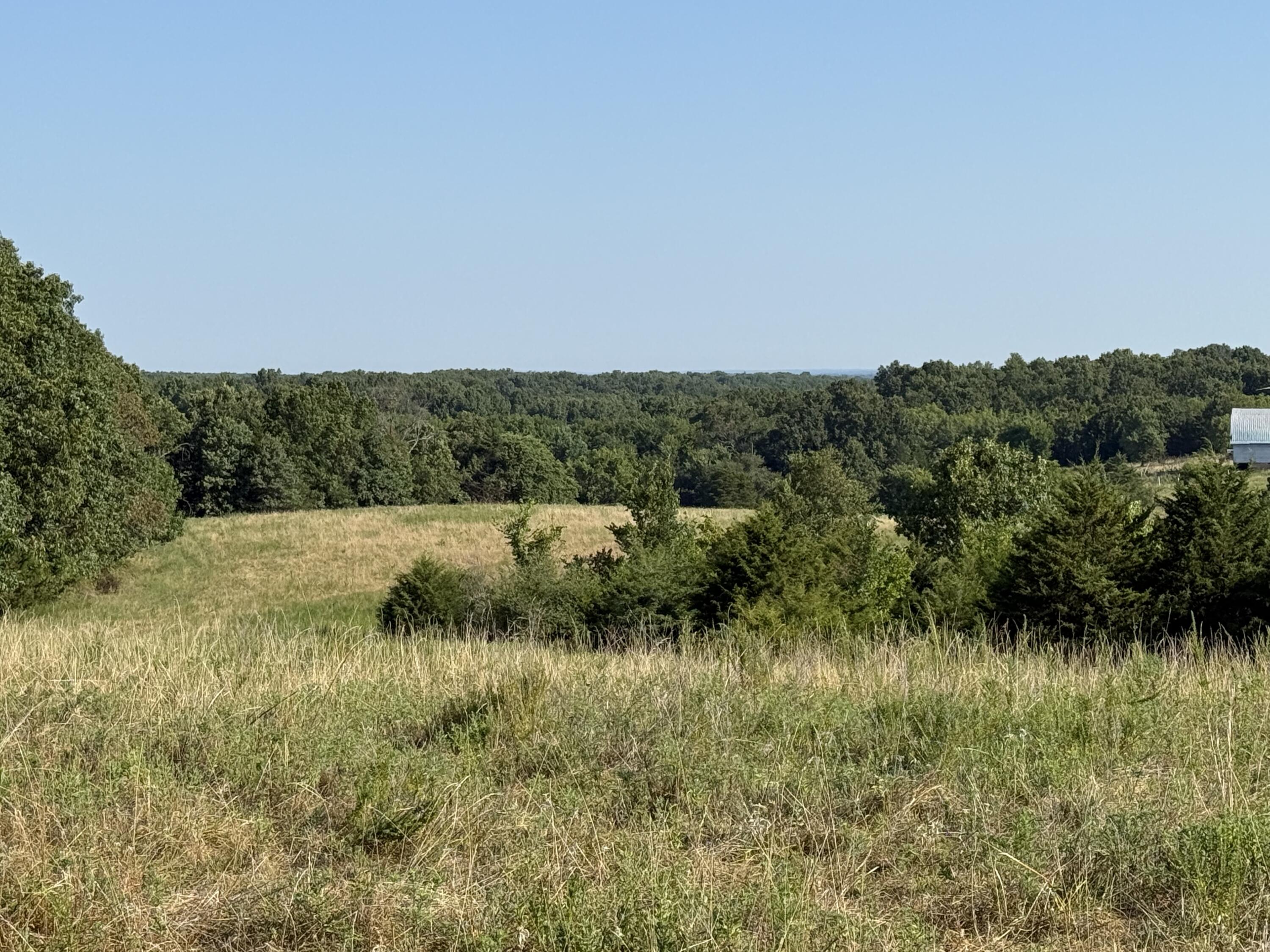 Photo 7 - Land for sale – 000  Lawrence 2130   Marionville, MO