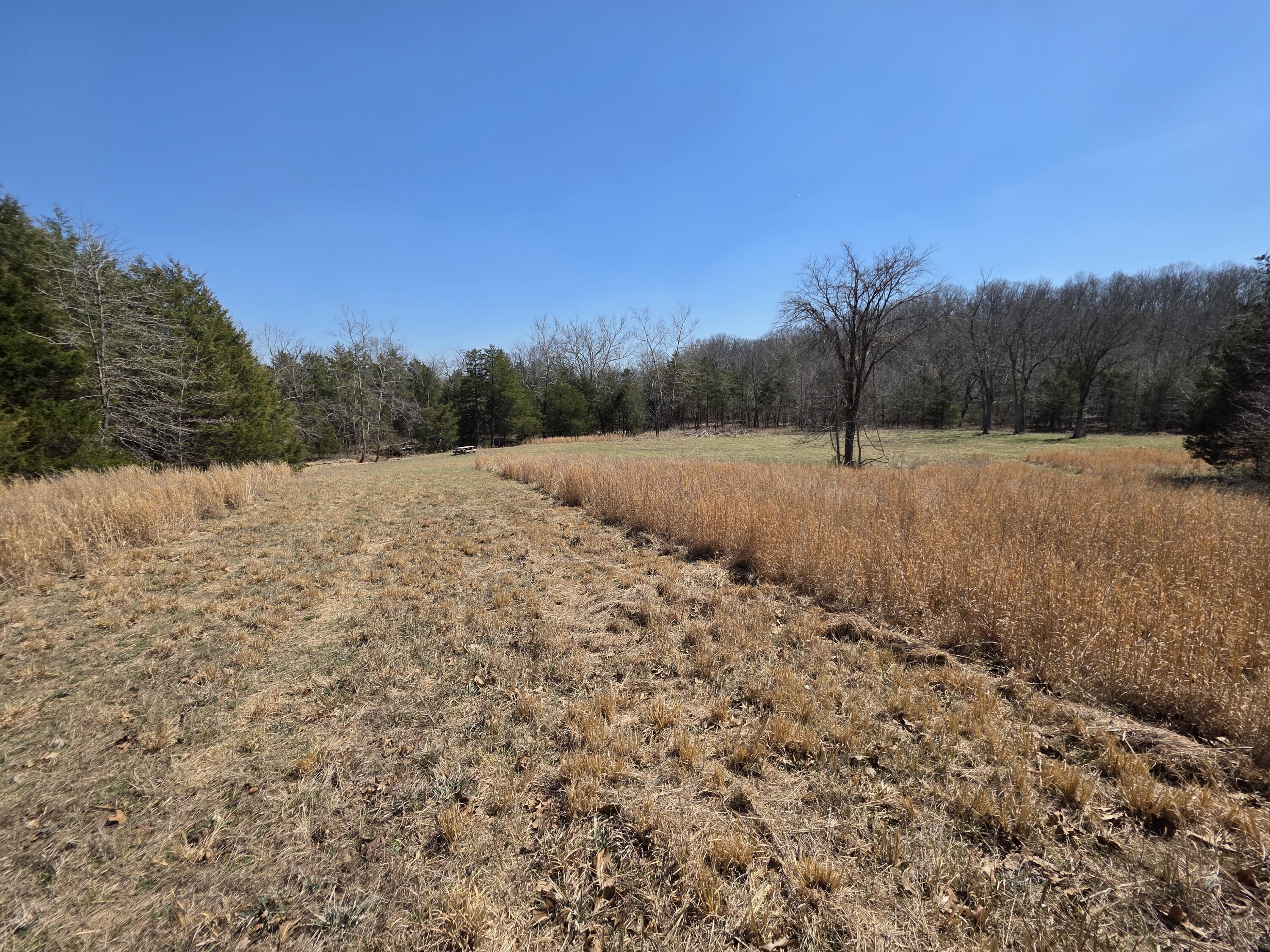Photo 10 - Land for sale – 000  Boster Road   Houston, MO
