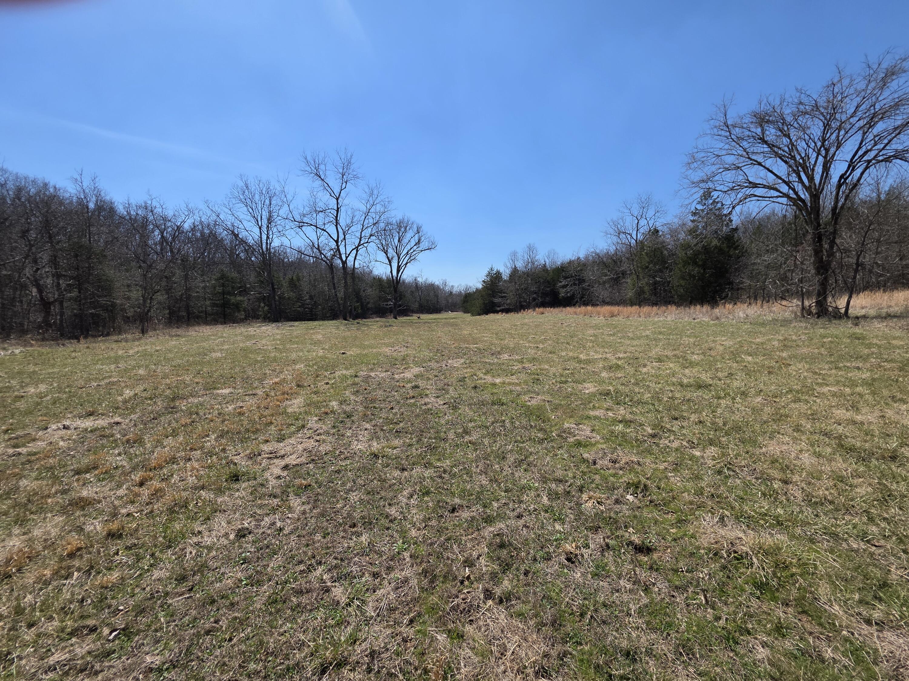 Photo 11 - Land for sale – 000  Boster Road   Houston, MO