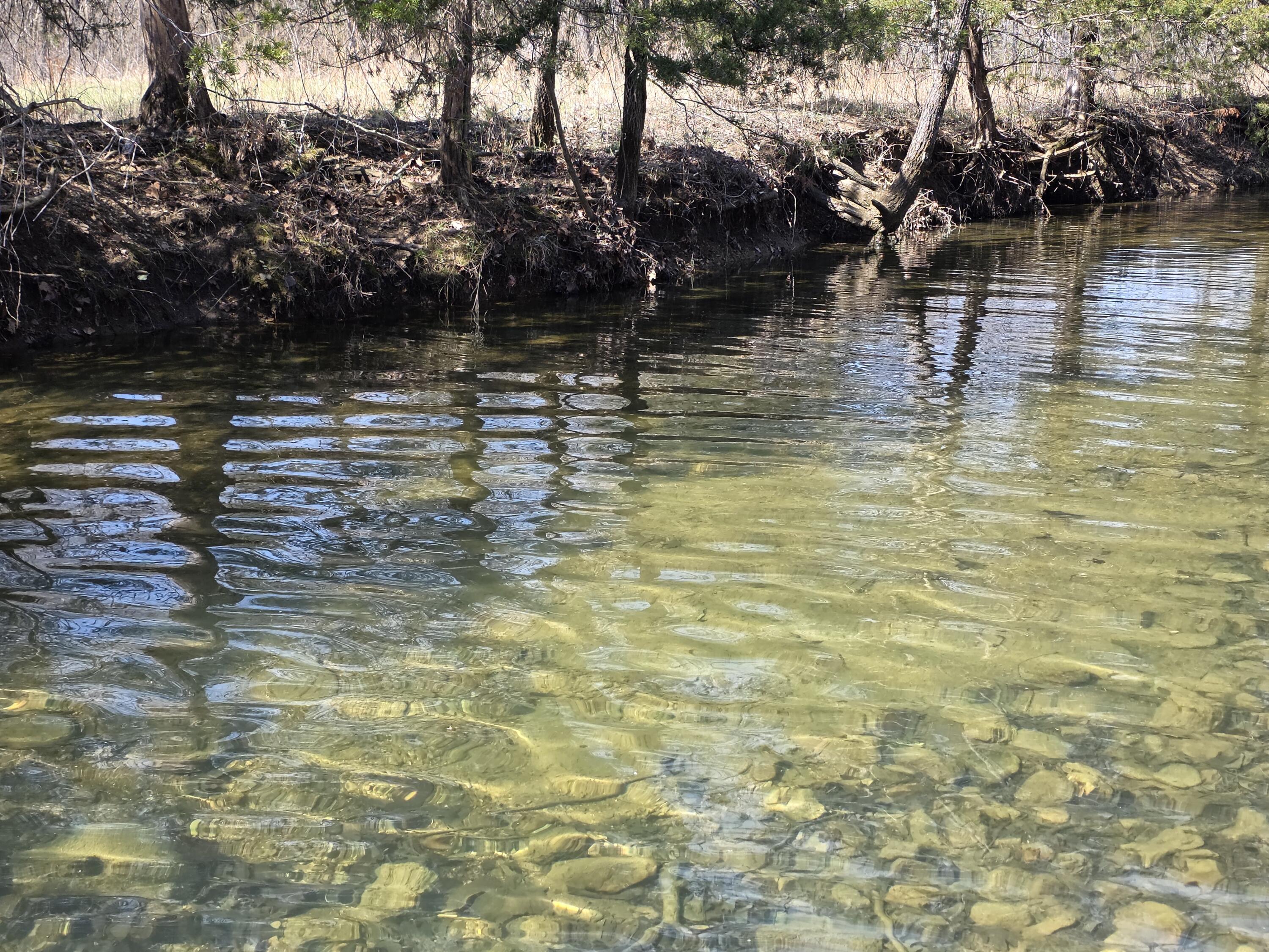 Photo 4 - Land for sale – 000  Boster Road   Houston, MO