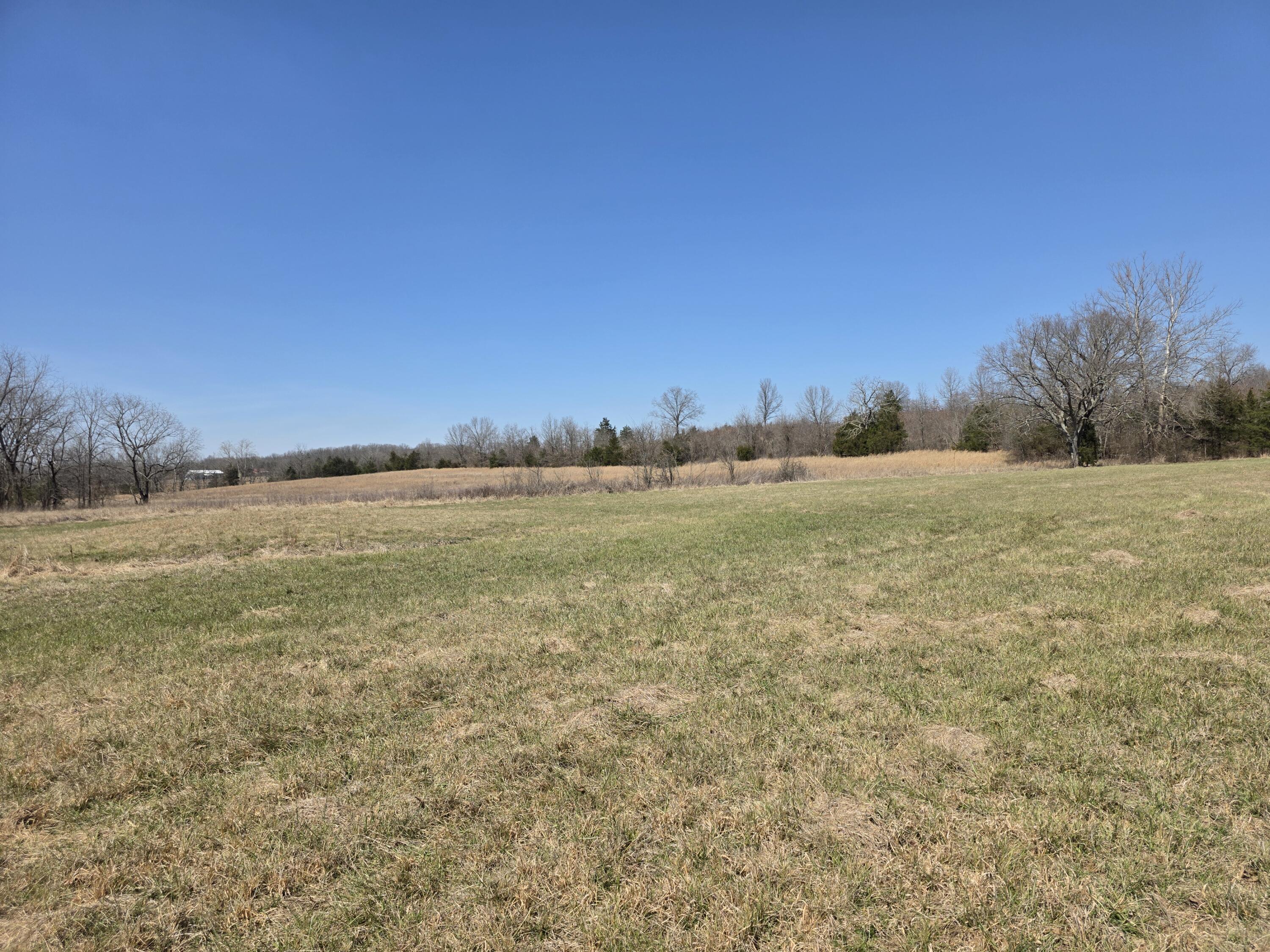 Photo 14 - Land for sale – 000  Boster Road   Houston, MO