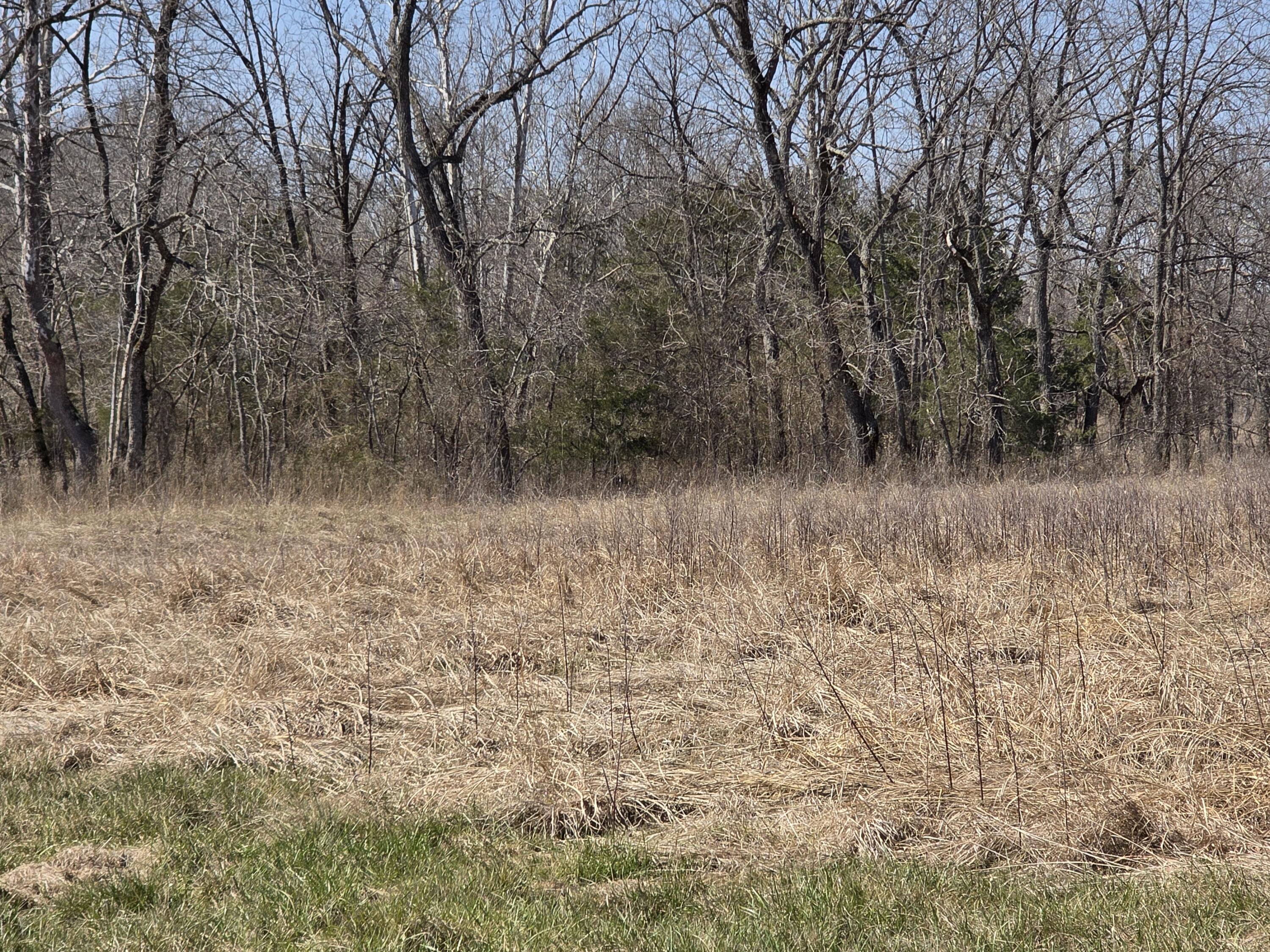 Photo 17 - Land for sale – 000  Boster Road   Houston, MO