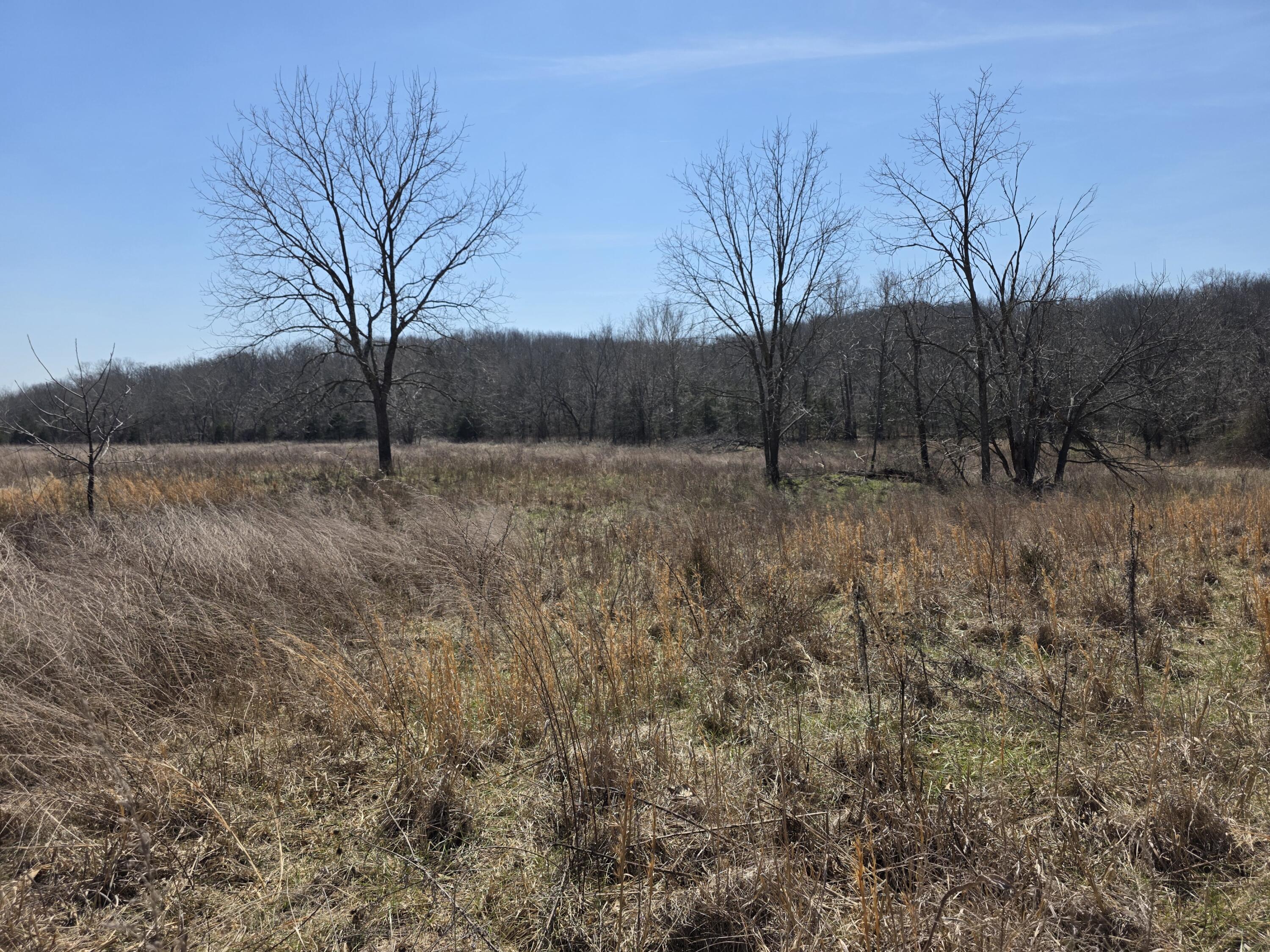 Photo 18 - Land for sale – 000  Boster Road   Houston, MO