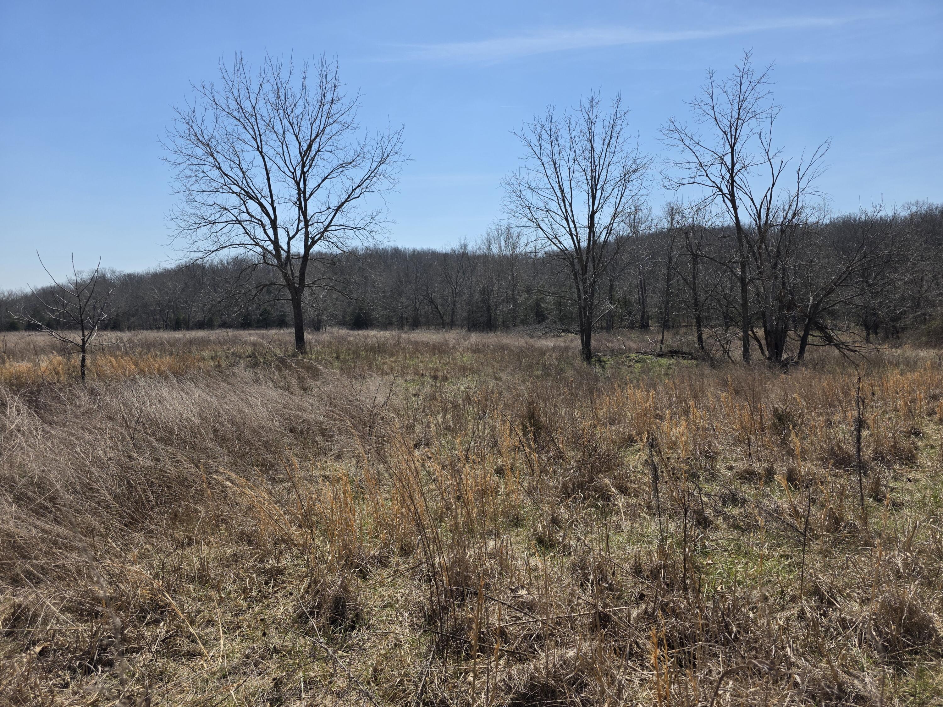 Photo 19 - Land for sale – 000  Boster Road   Houston, MO