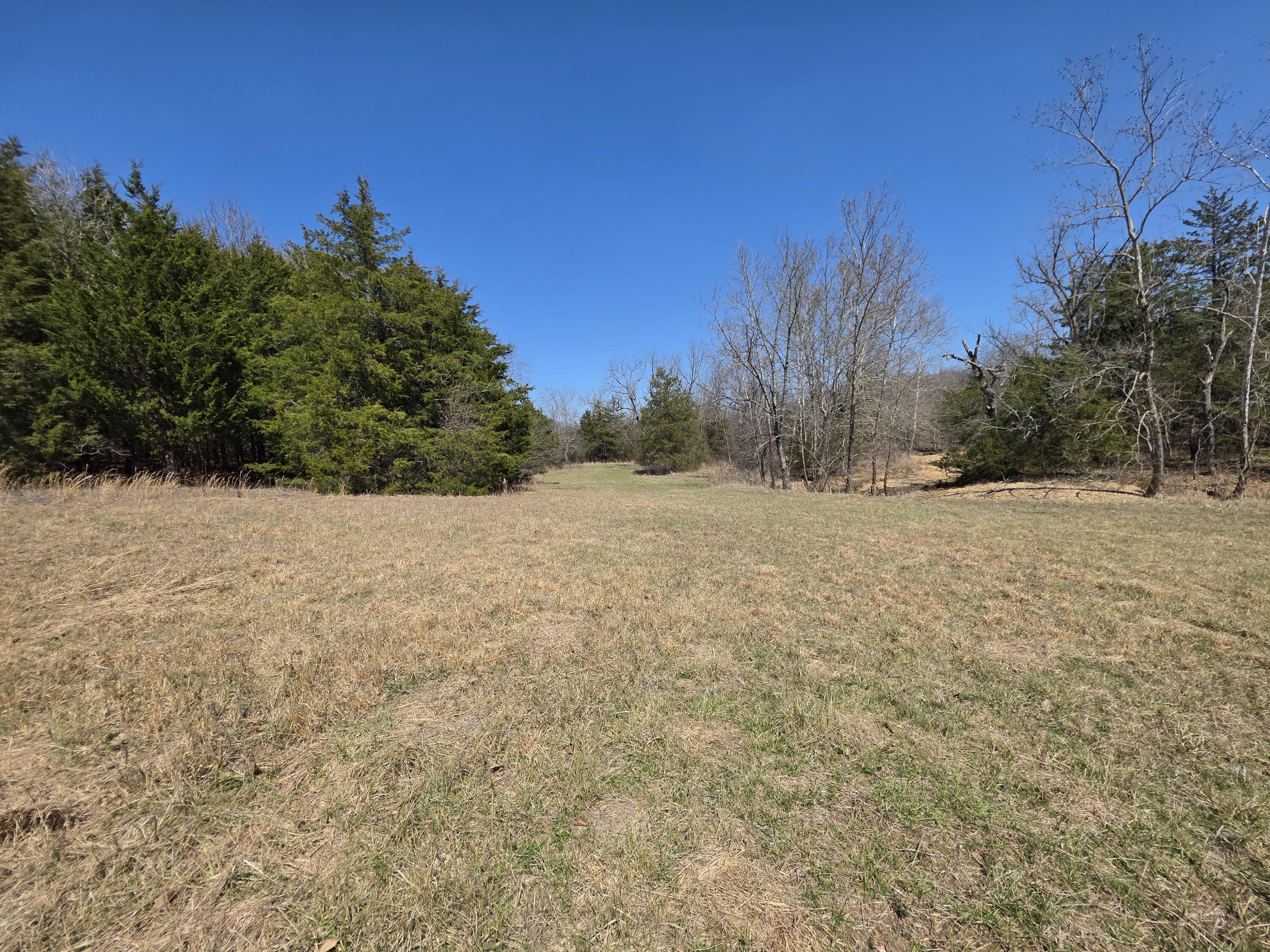 Photo 9 - Land for sale – 000  Boster Road   Houston, MO