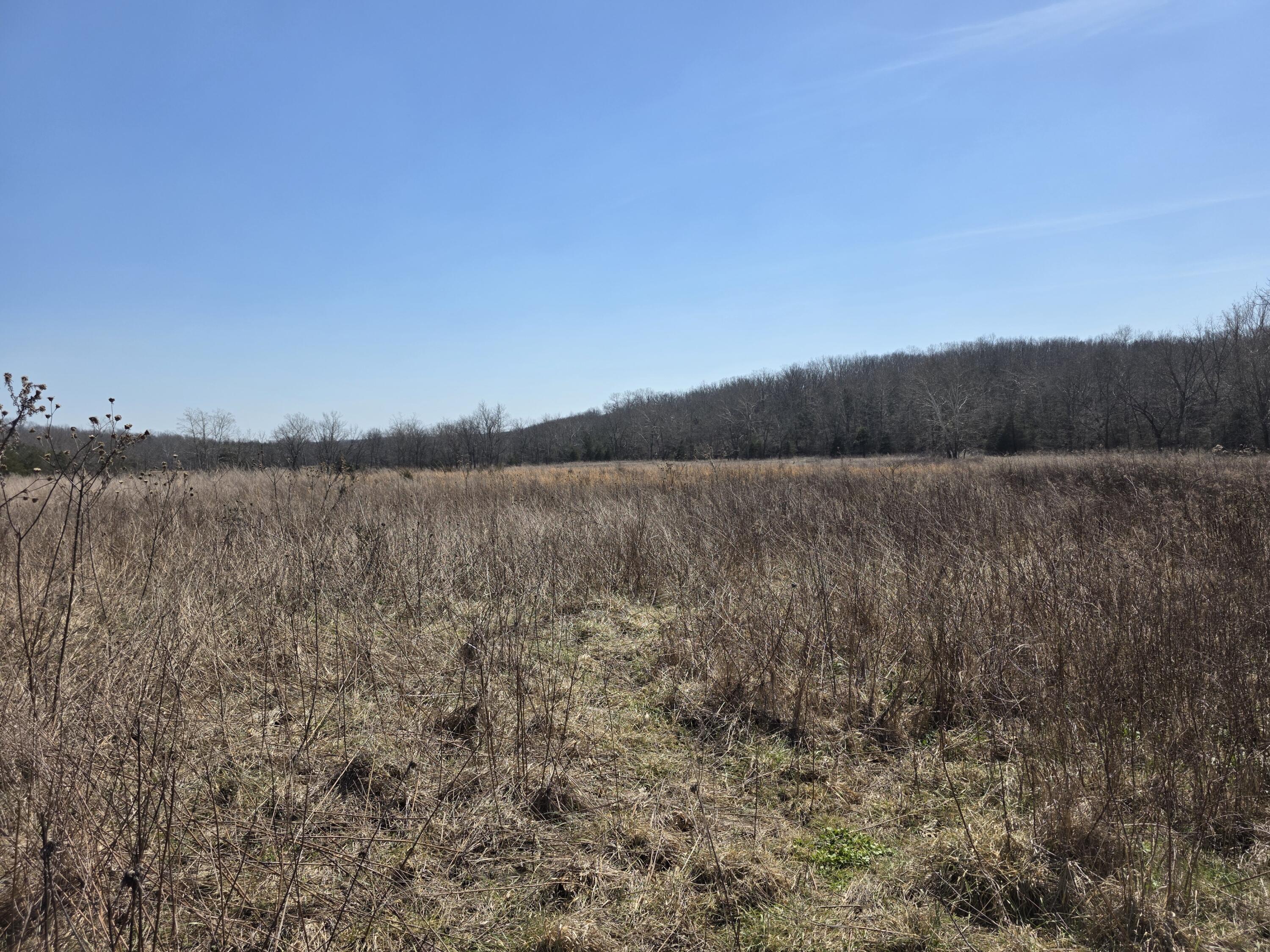 Photo 20 - Land for sale – 000  Boster Road   Houston, MO