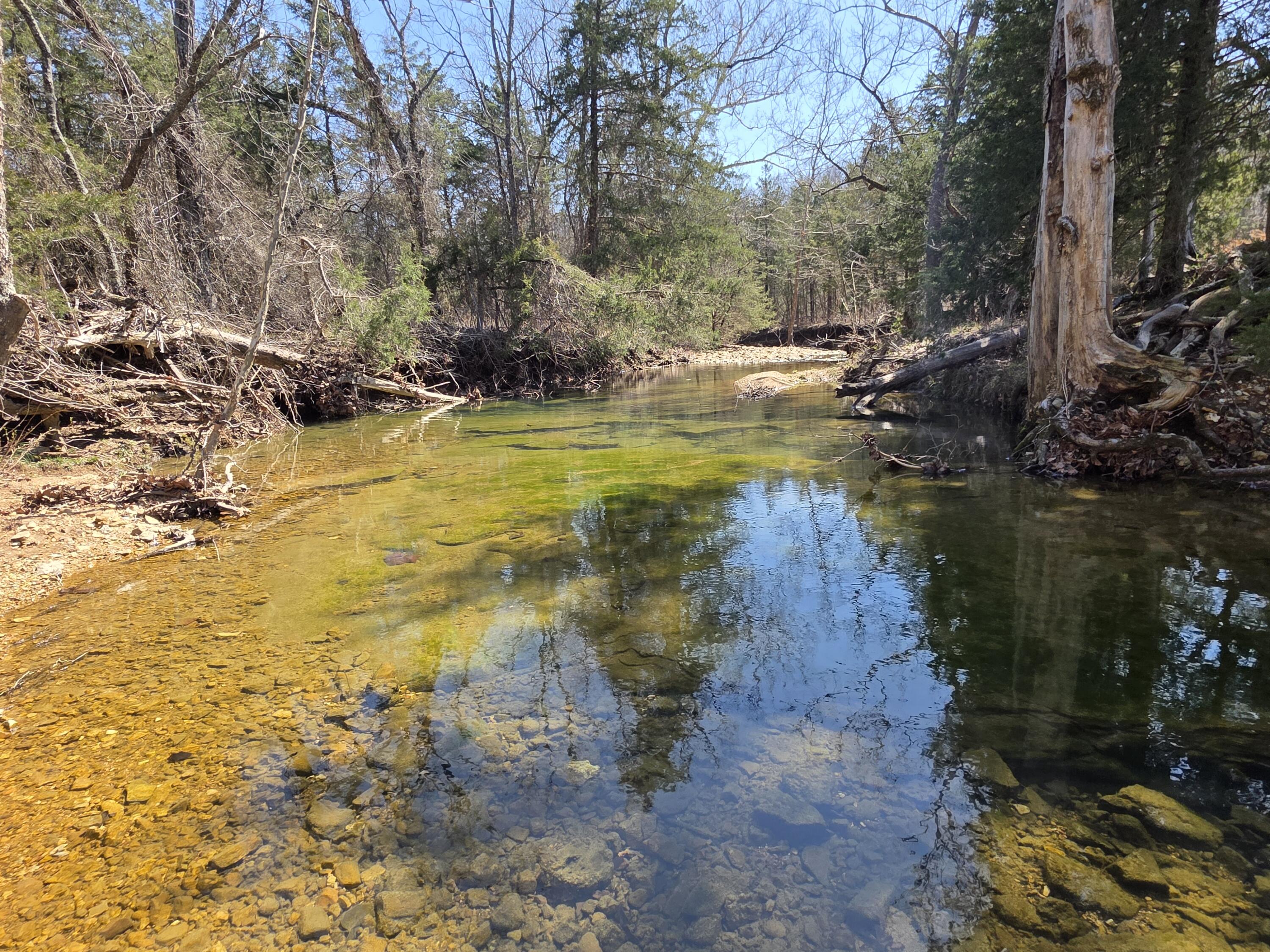 Photo 8 - Land for sale – 000  Boster Road   Houston, MO
