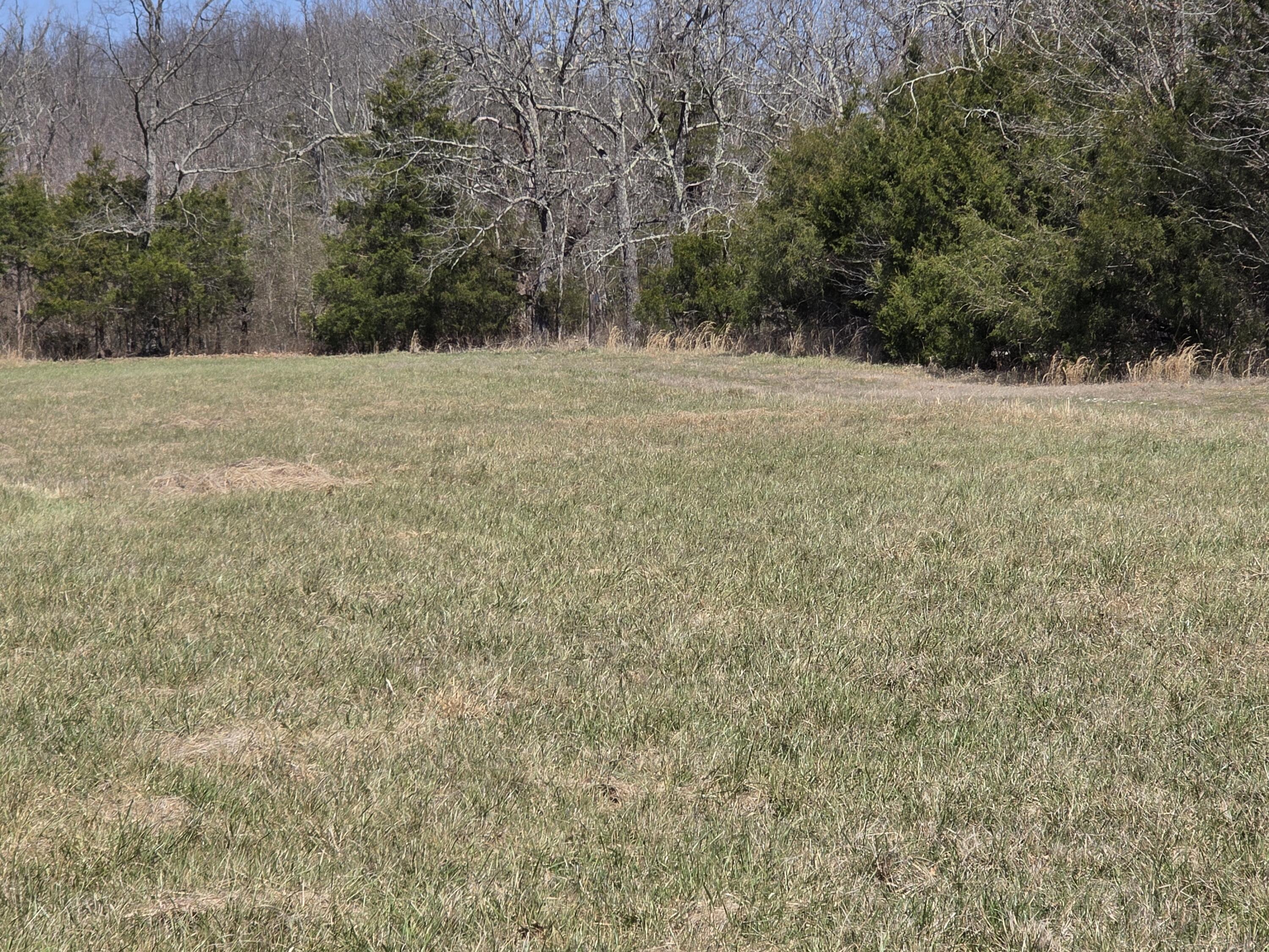 Photo 12 - Land for sale – 000  Boster Road   Houston, MO