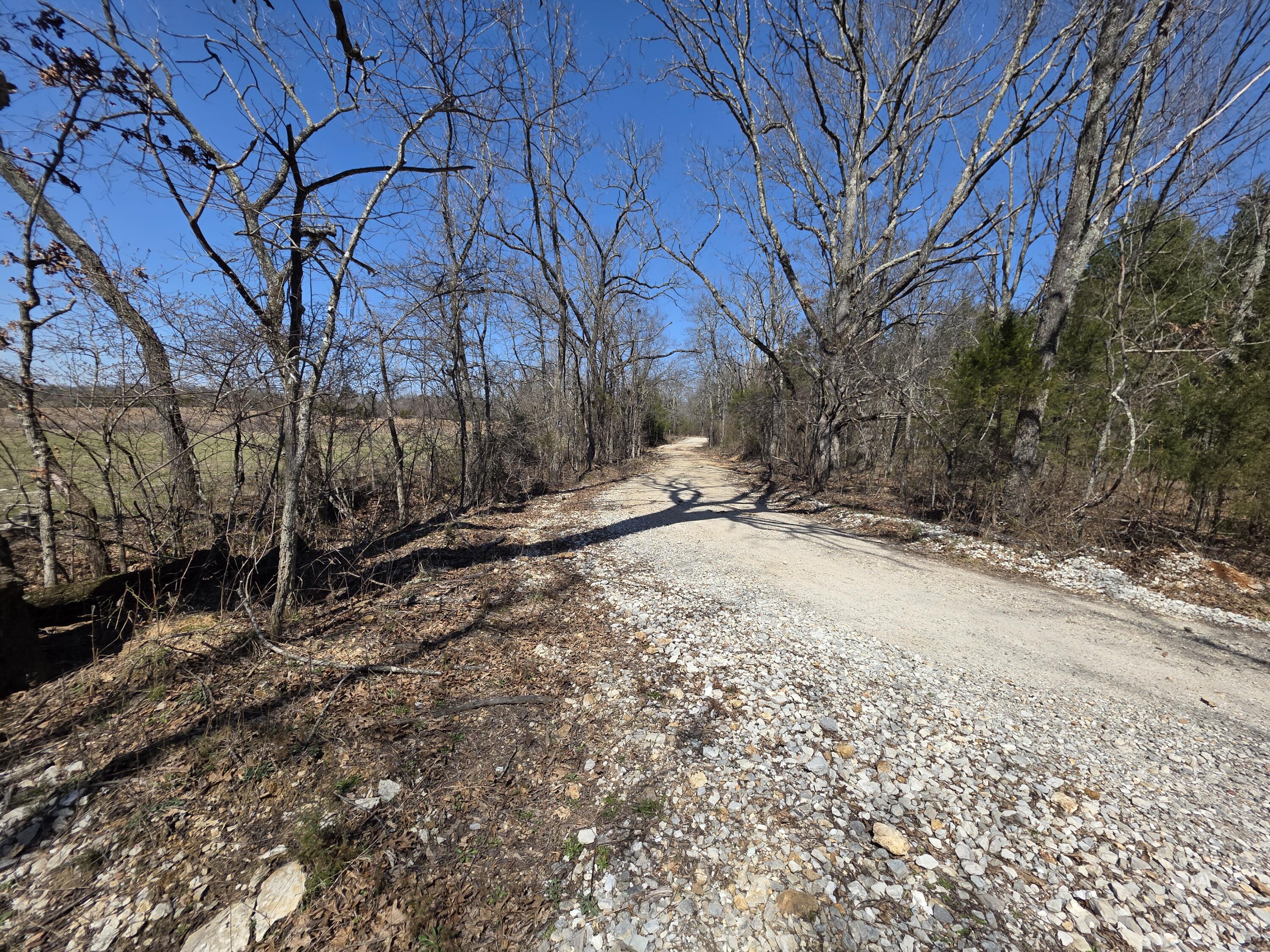 Photo 22 - Land for sale – 000  Boster Road   Houston, MO