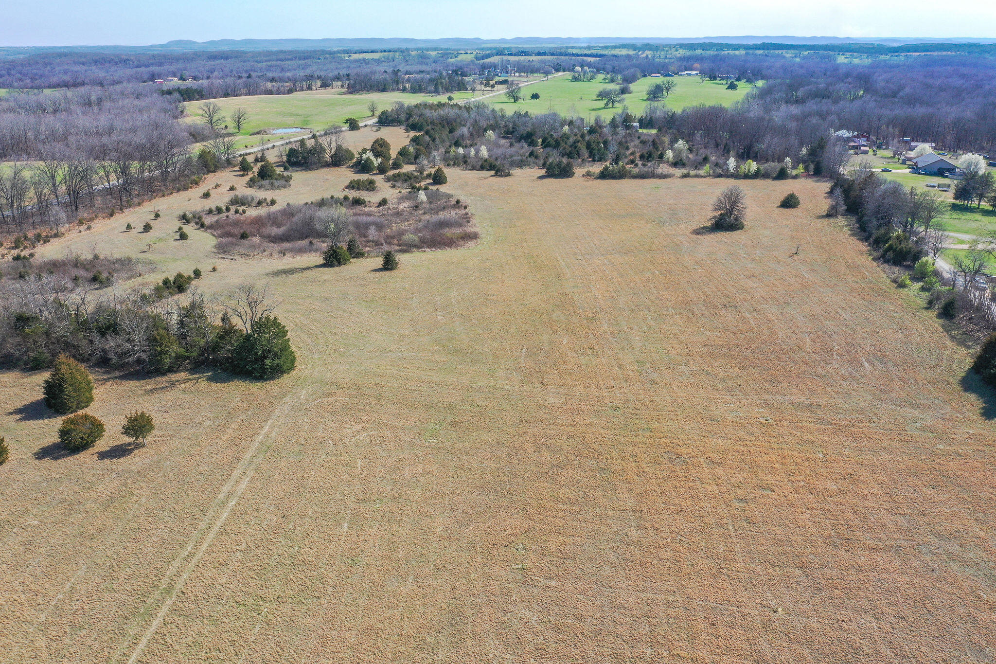 Photo 8 - Land for sale – 6738  County Road 429   Ava, MO