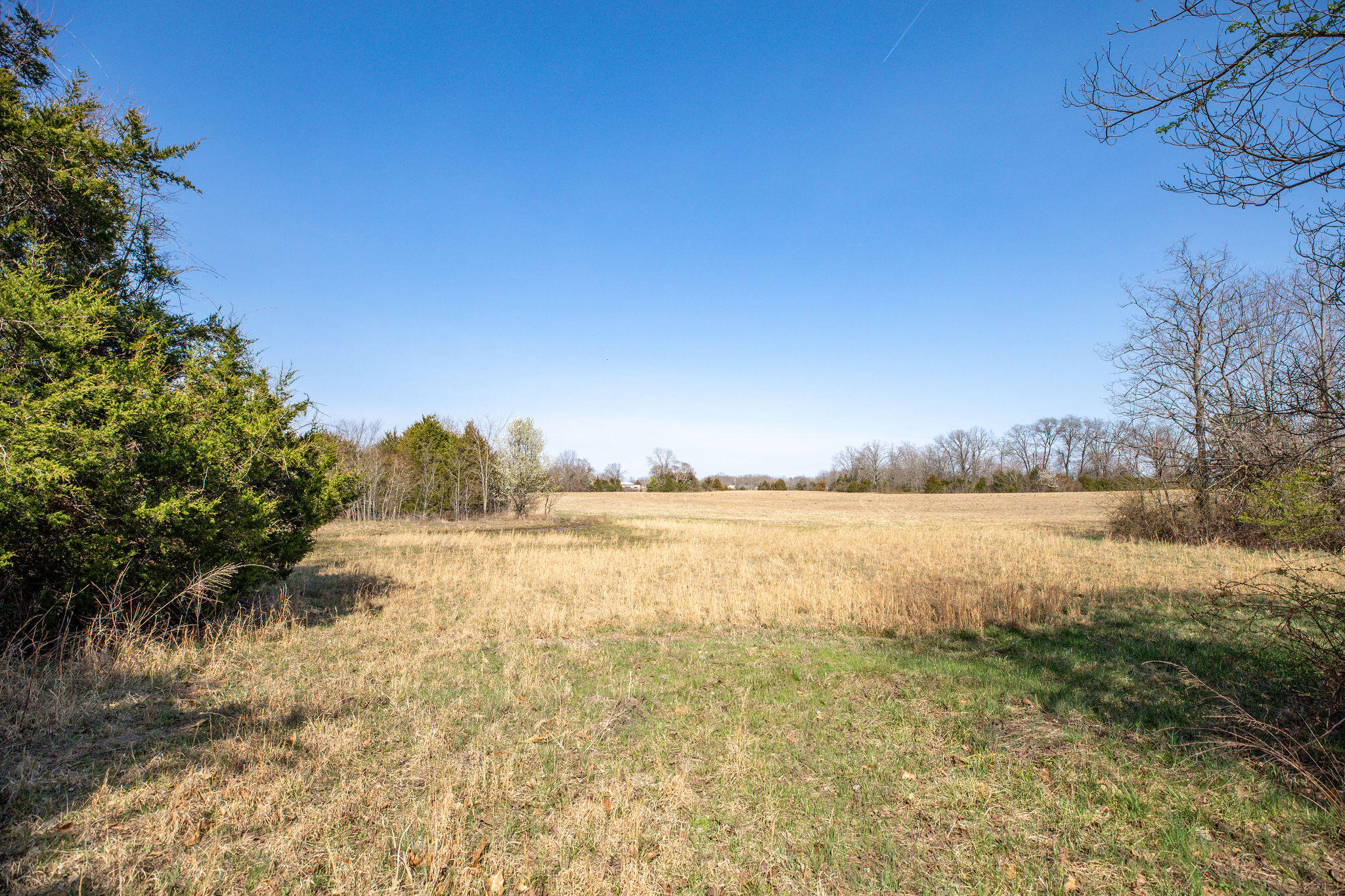 Photo 18 - Land for sale – 6738  County Road 429   Ava, MO