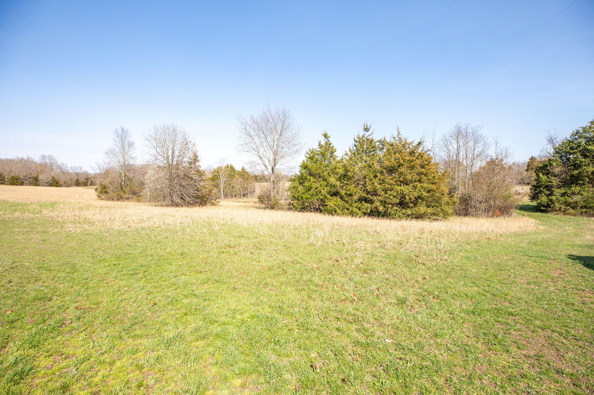 Photo 20 - Land for sale – 6738  County Road 429   Ava, MO