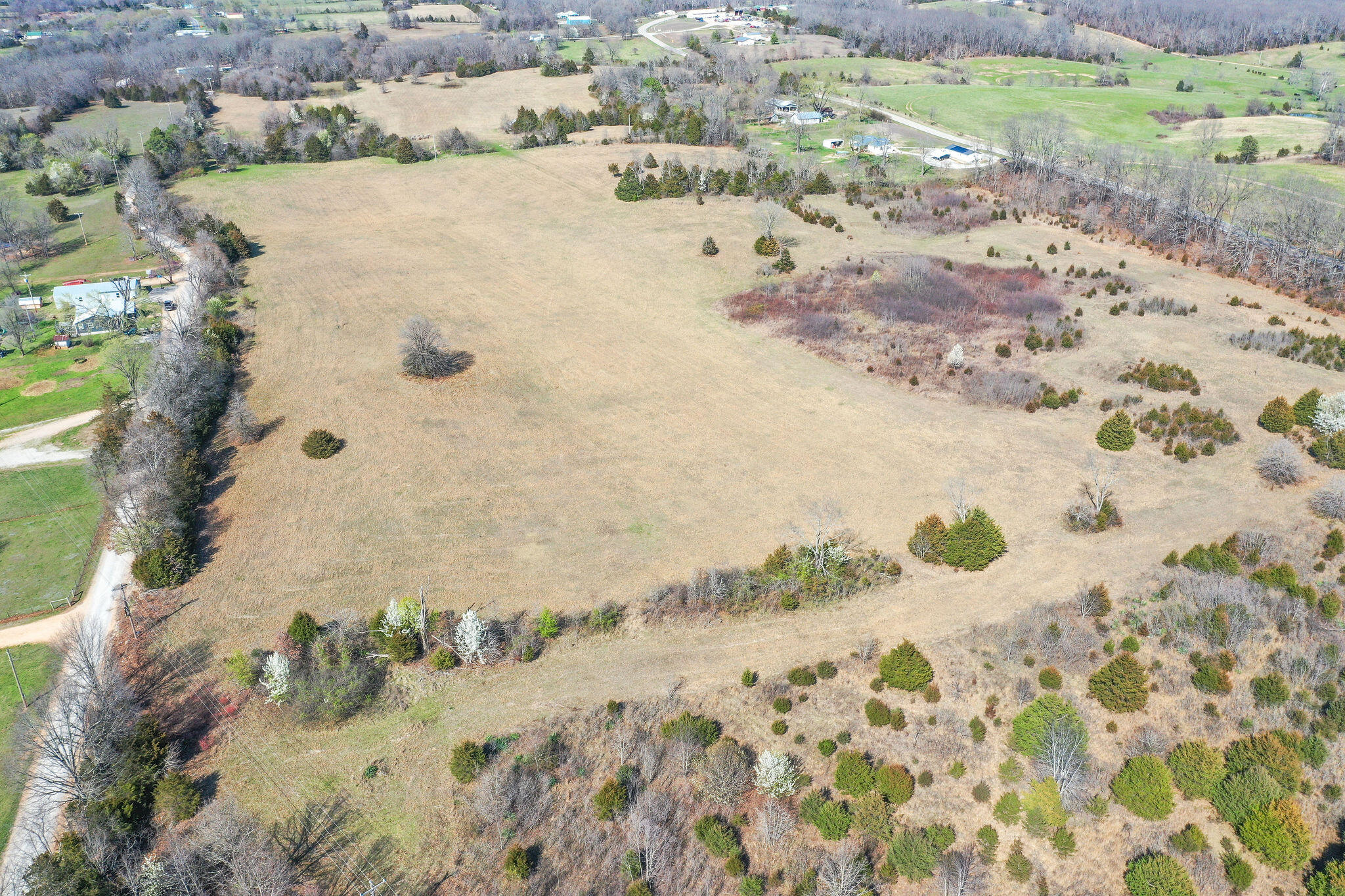 Photo 11 - Land for sale – 6738  County Road 429   Ava, MO